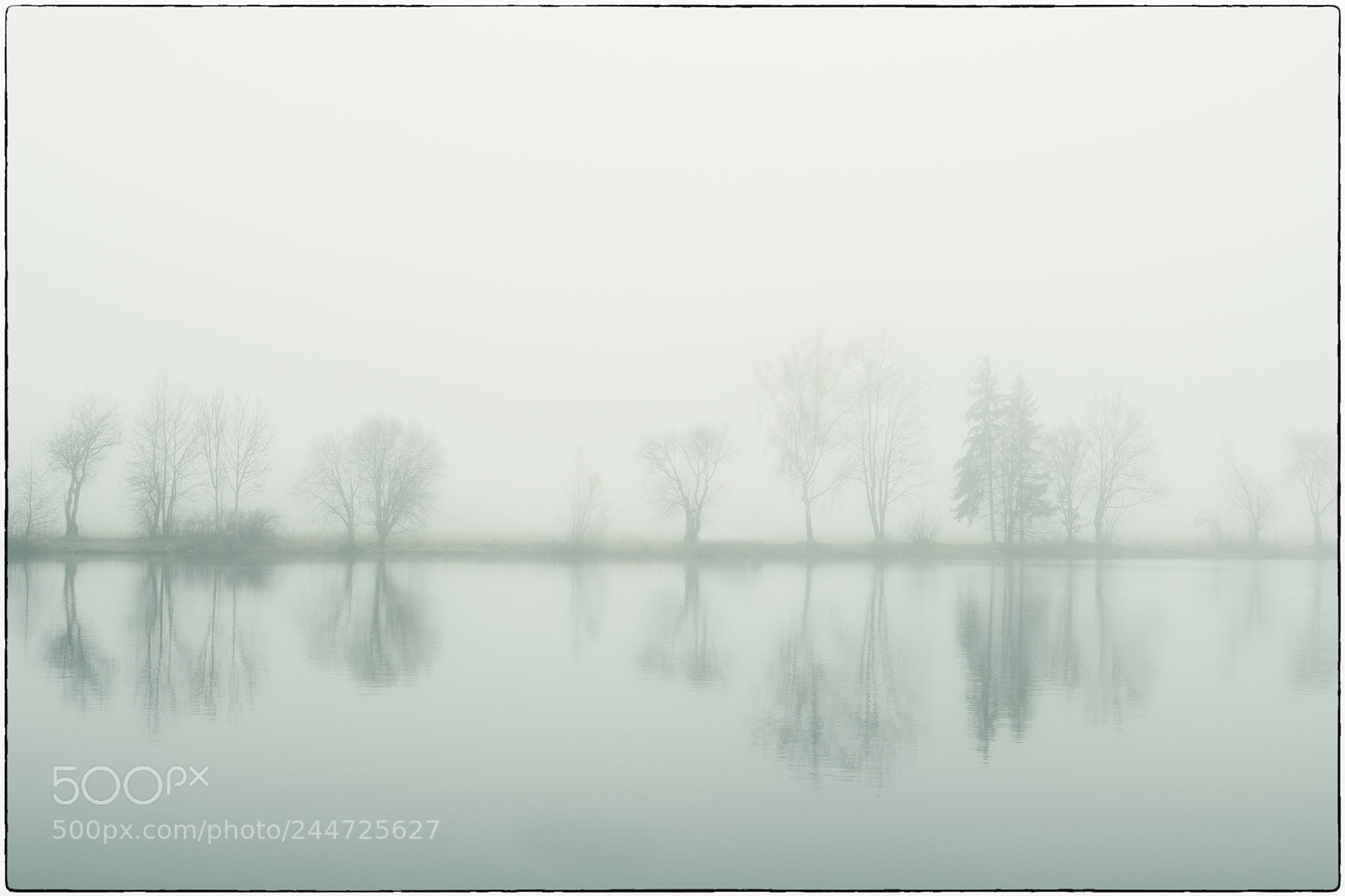 Fujifilm X-T20 sample photo. Fog photography