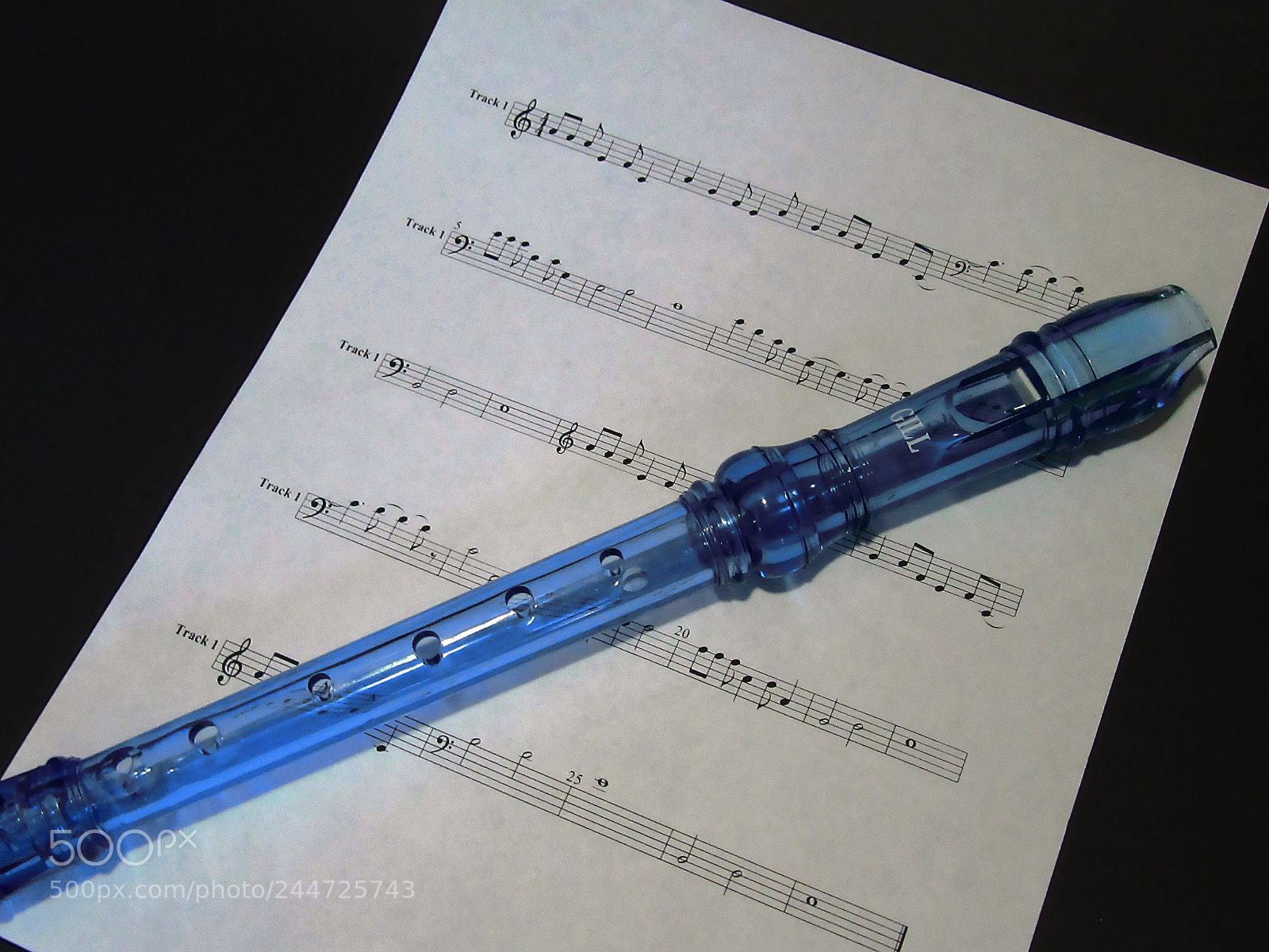 Canon PowerShot SX610 HS sample photo. Music photography