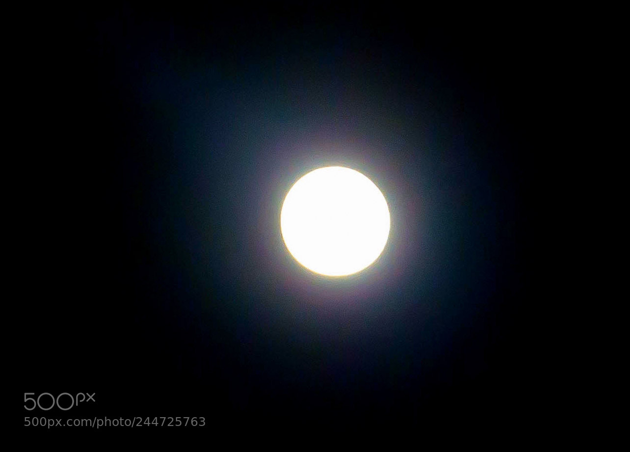 Nikon D5100 sample photo. Untitled photography