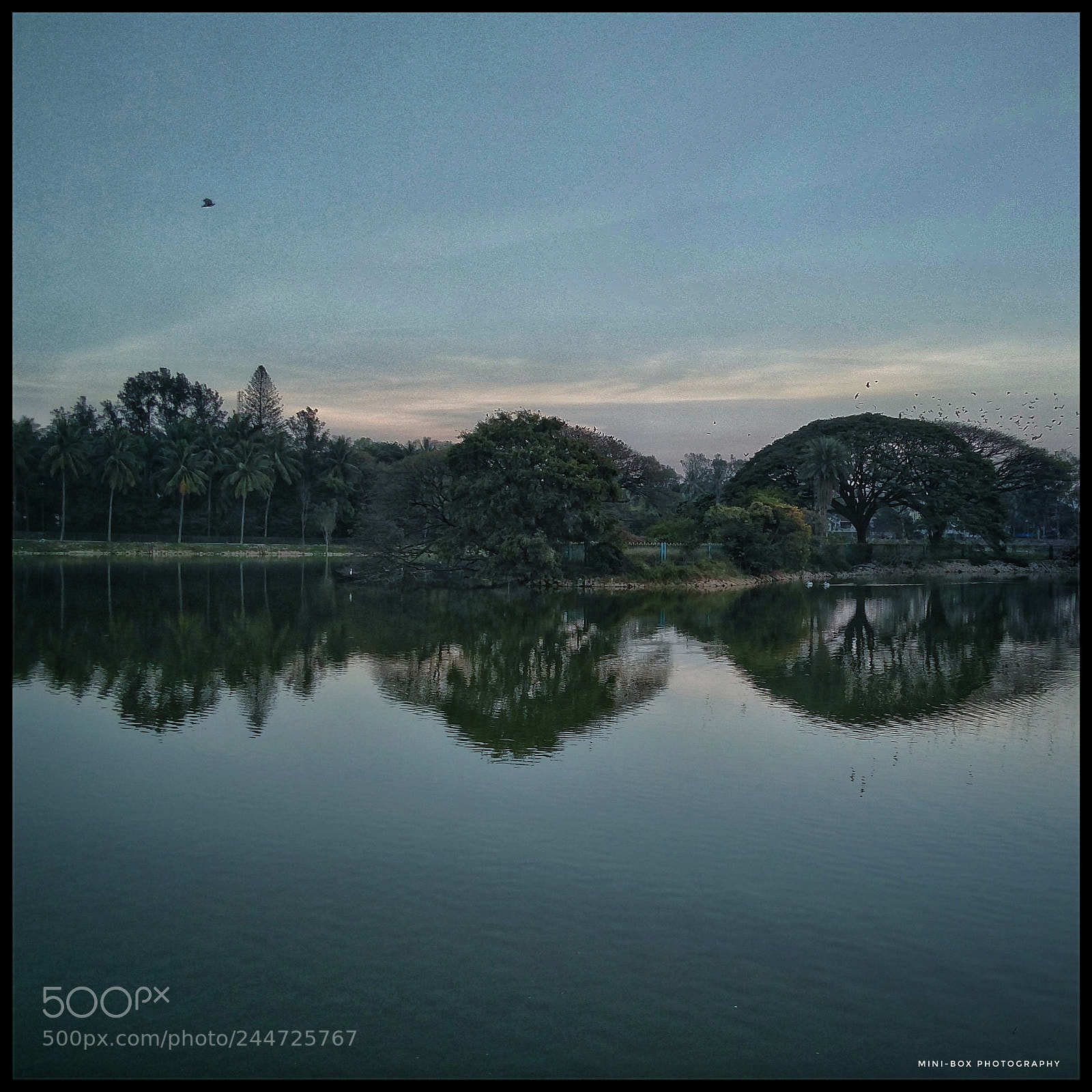 OnePlus 2 sample photo. Evening lake reflection photography