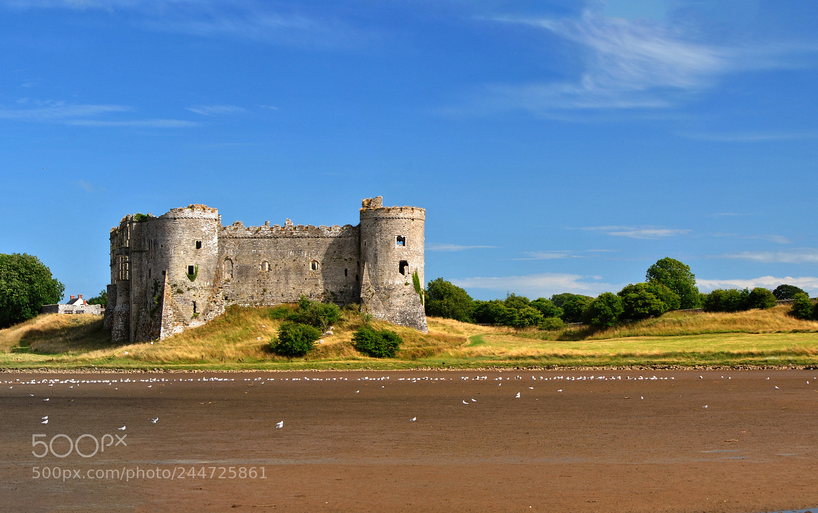 Nikon D3000 sample photo. Carew castle photography