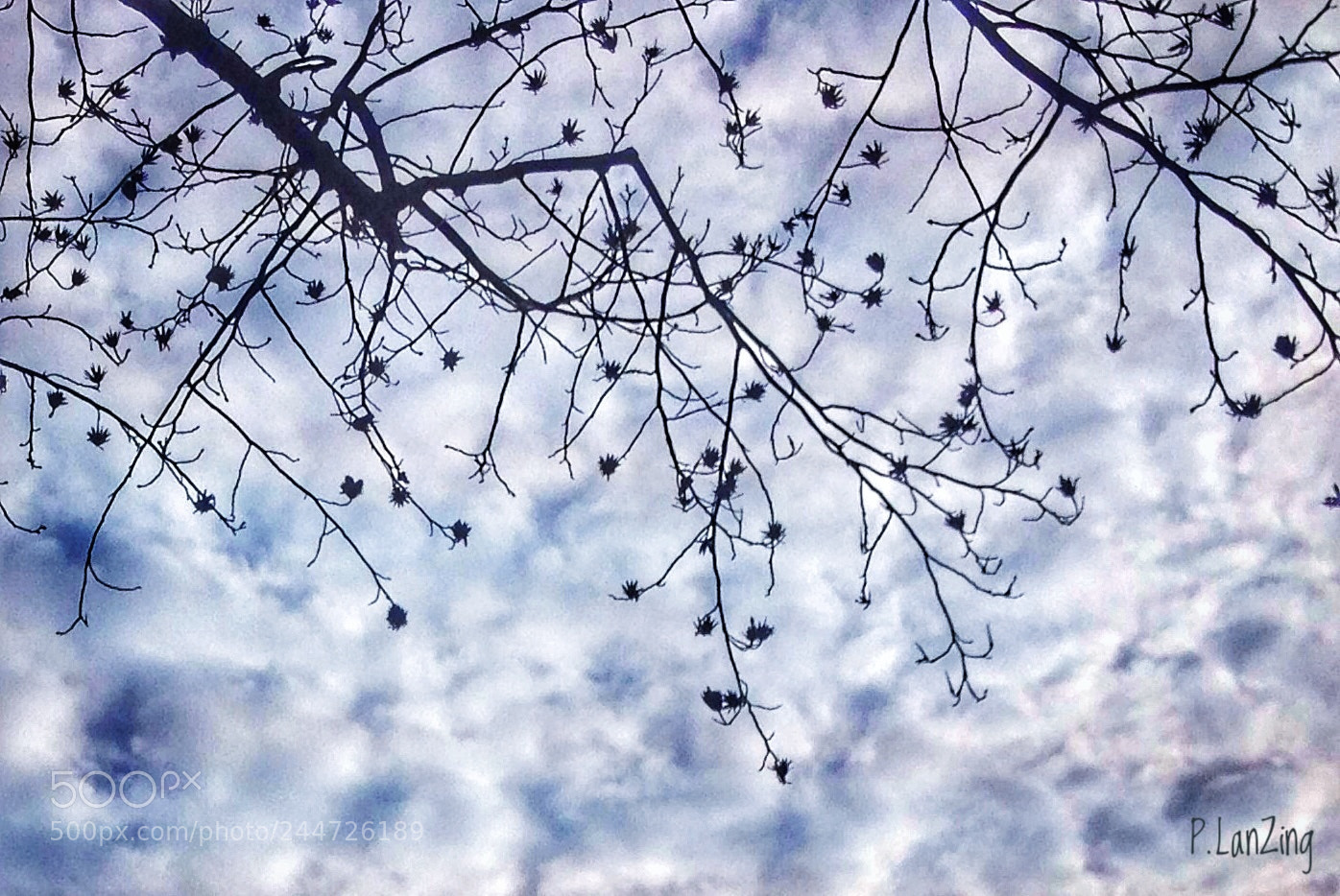 Apple iPhone 4S sample photo. Winter comes... photography