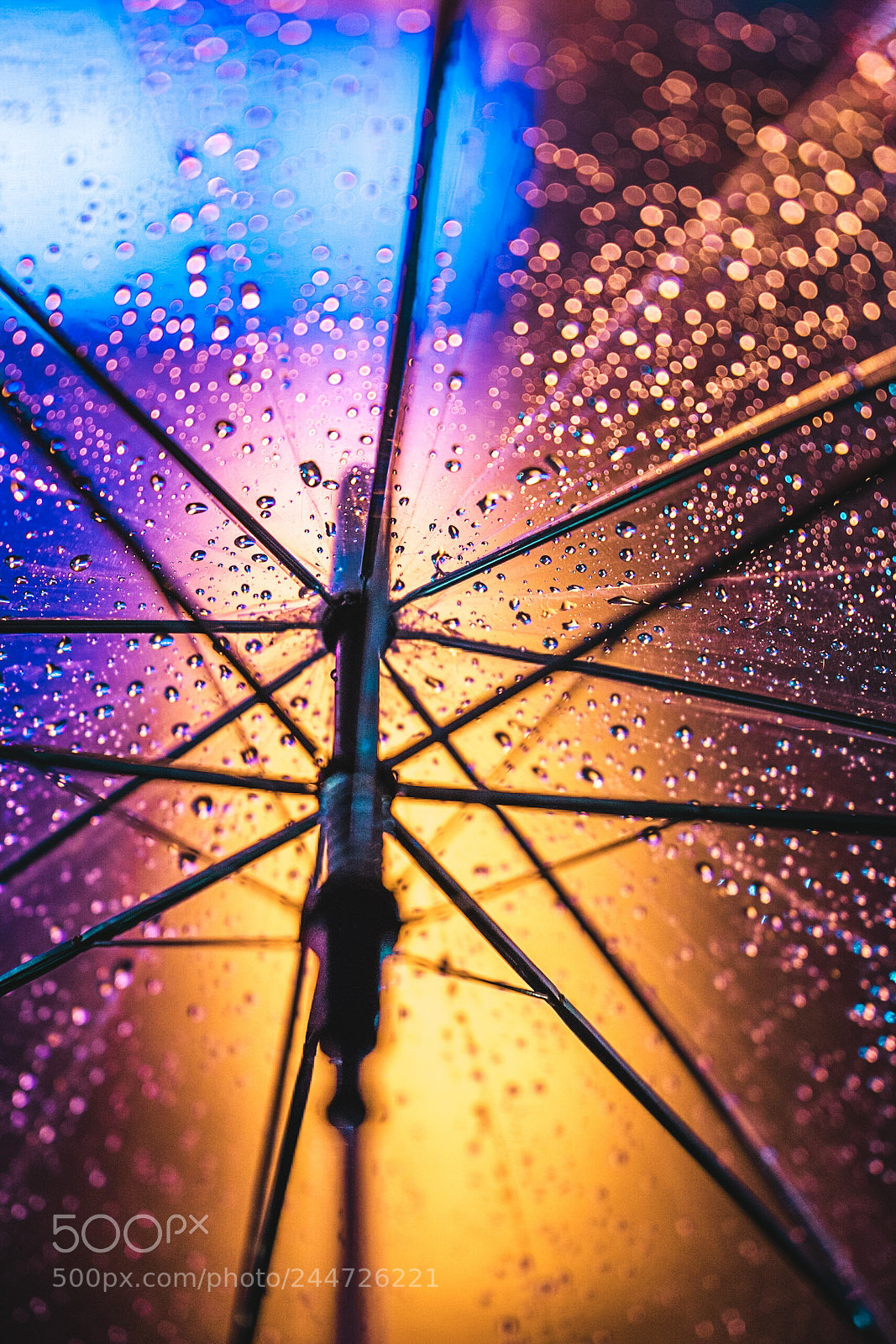 Sony a7R II sample photo. Colors of rain photography