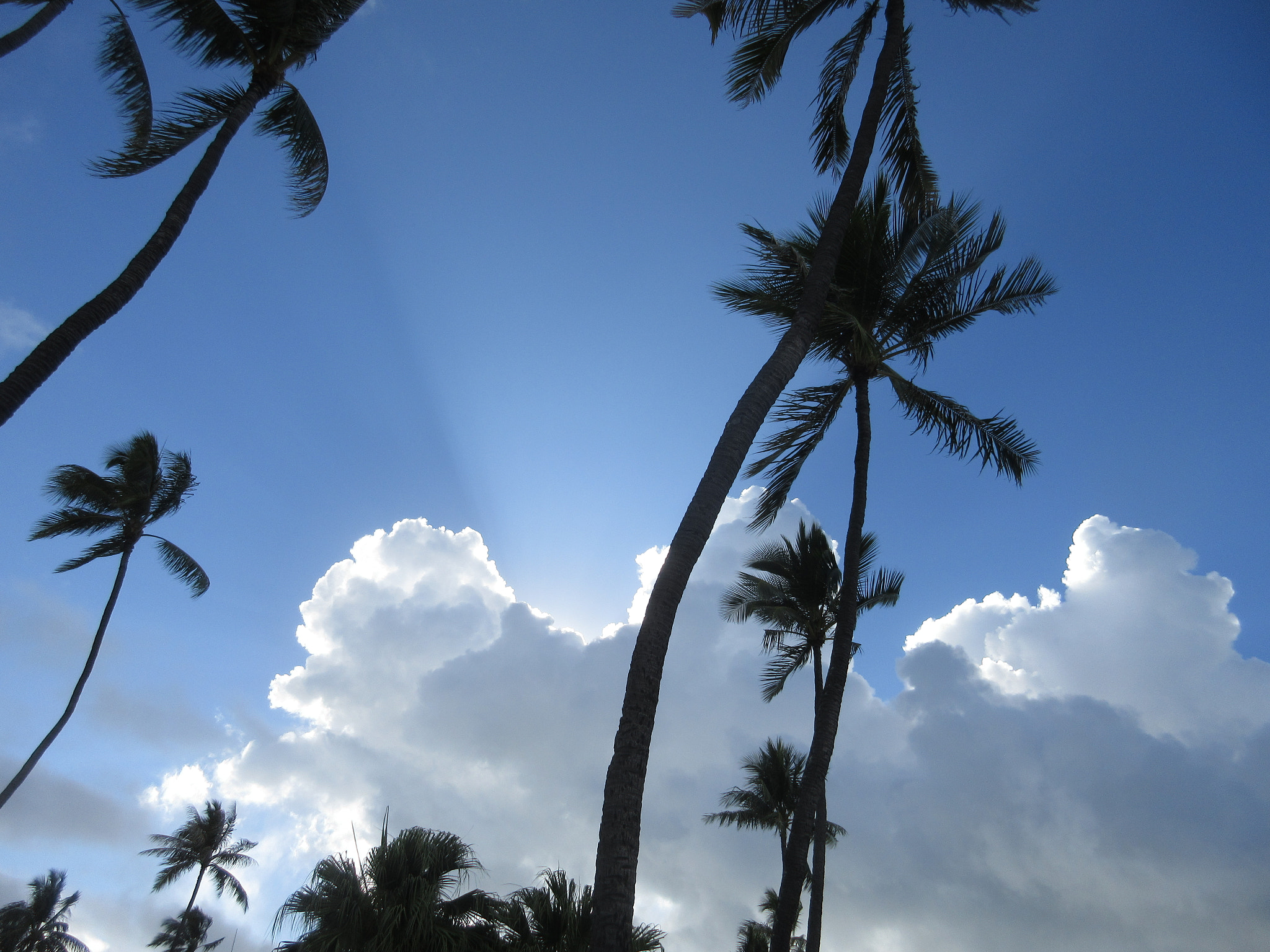 Canon PowerShot ELPH 350 HS (IXUS 275 HS / IXY 640) sample photo. Before the rain! photography
