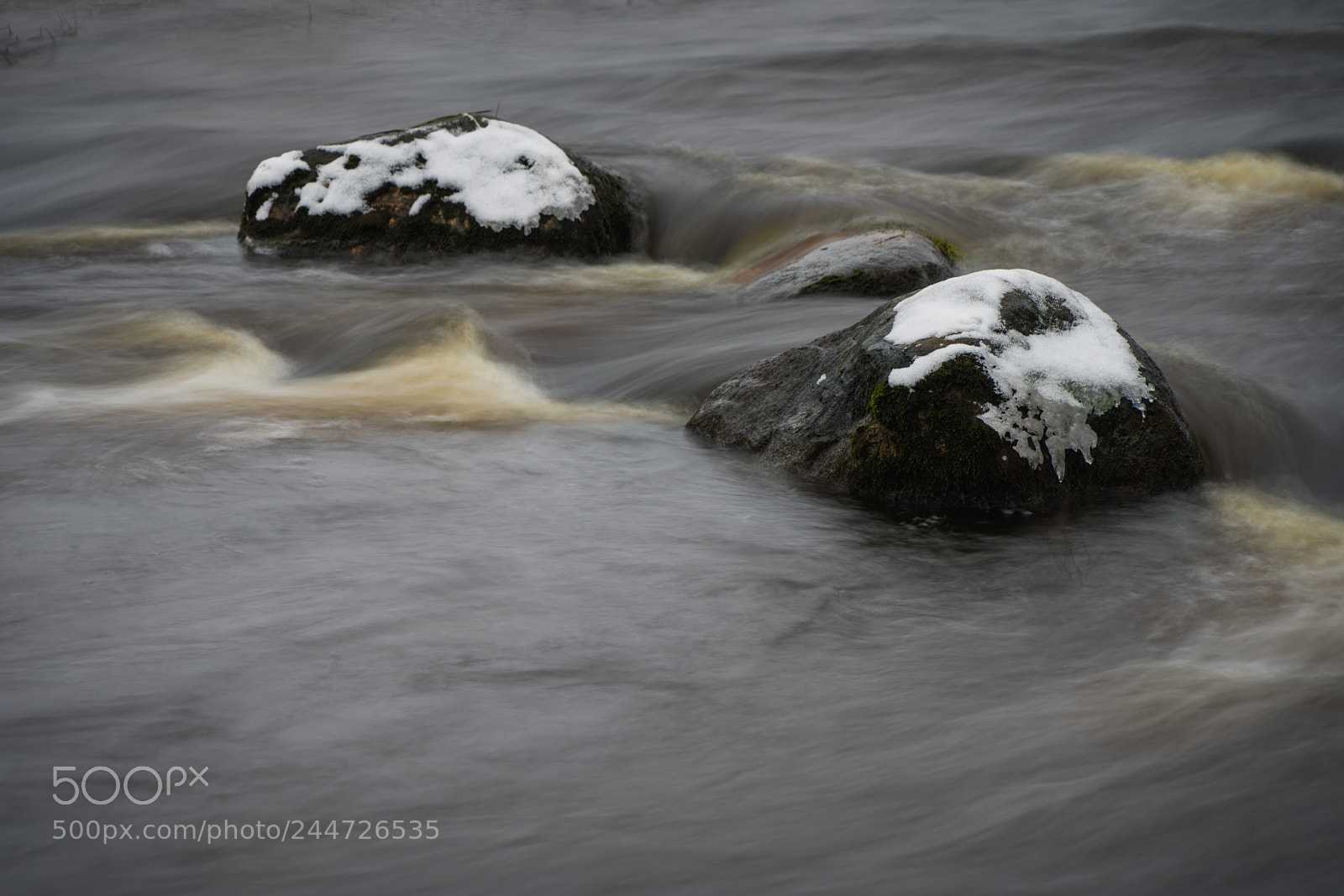 Sony a7R II sample photo. Dsc photography