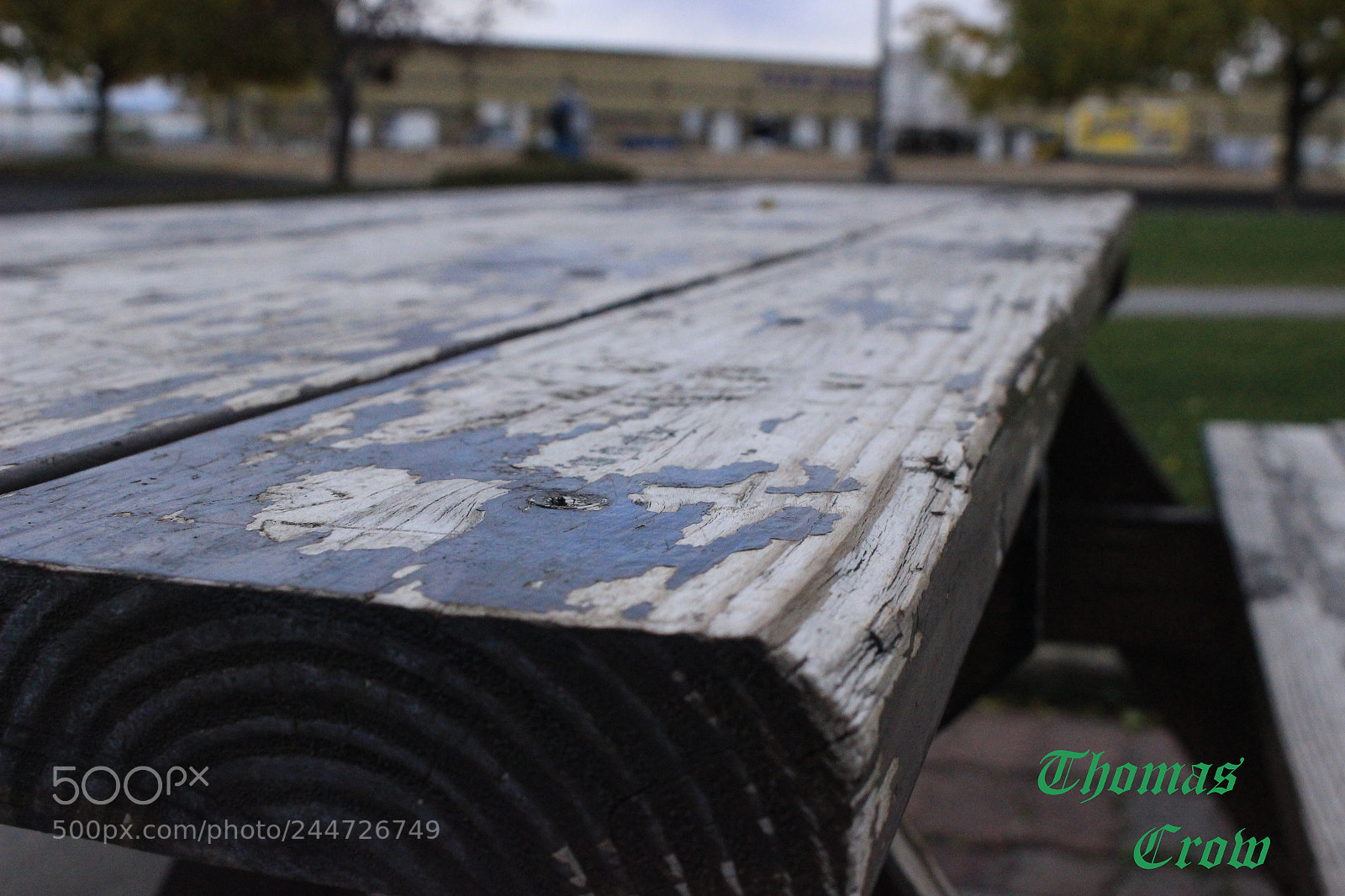 Canon EOS 100D (EOS Rebel SL1 / EOS Kiss X7) sample photo. A simple bench photography