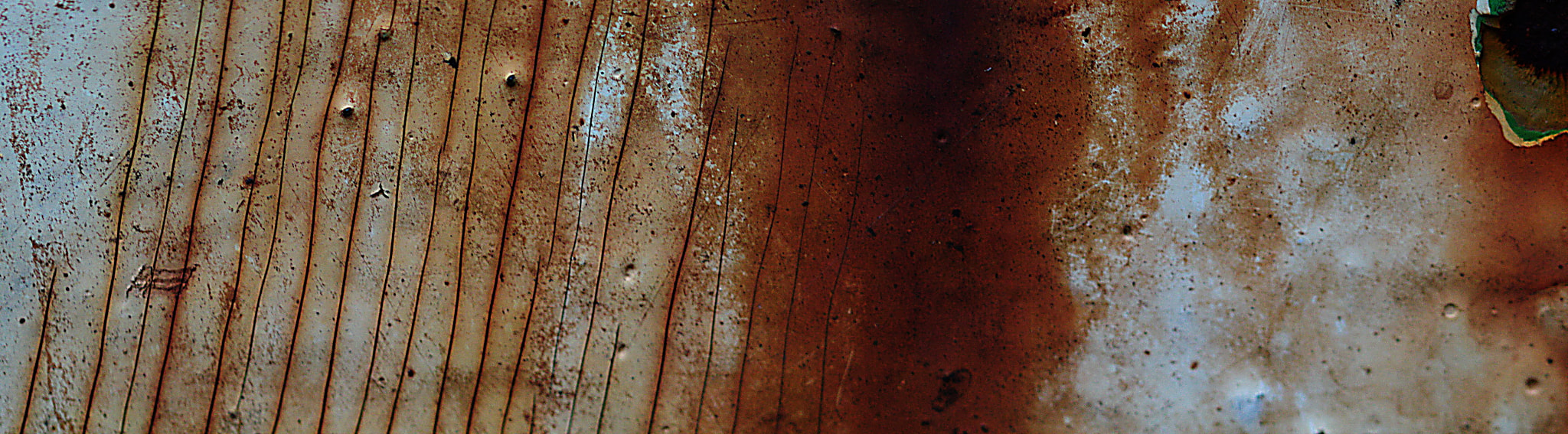 Canon EF 100mm F2.8L Macro IS USM sample photo. Unknown iii photography