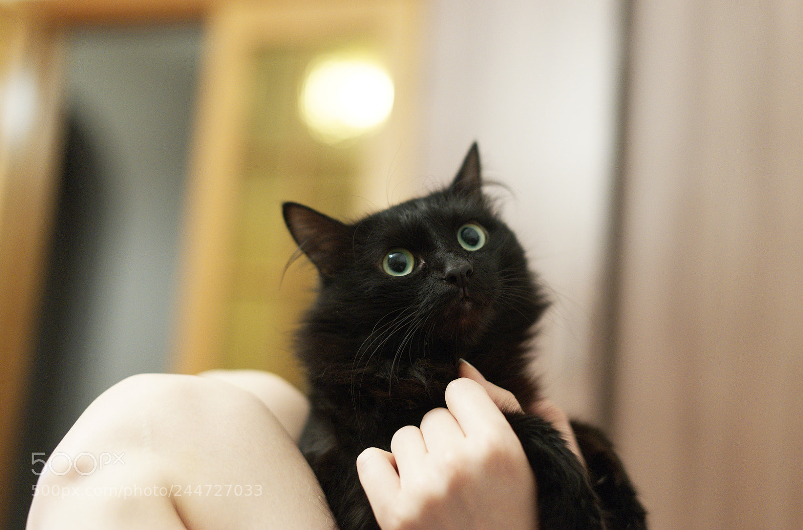 Sony Alpha a99 sample photo. Dxo photography