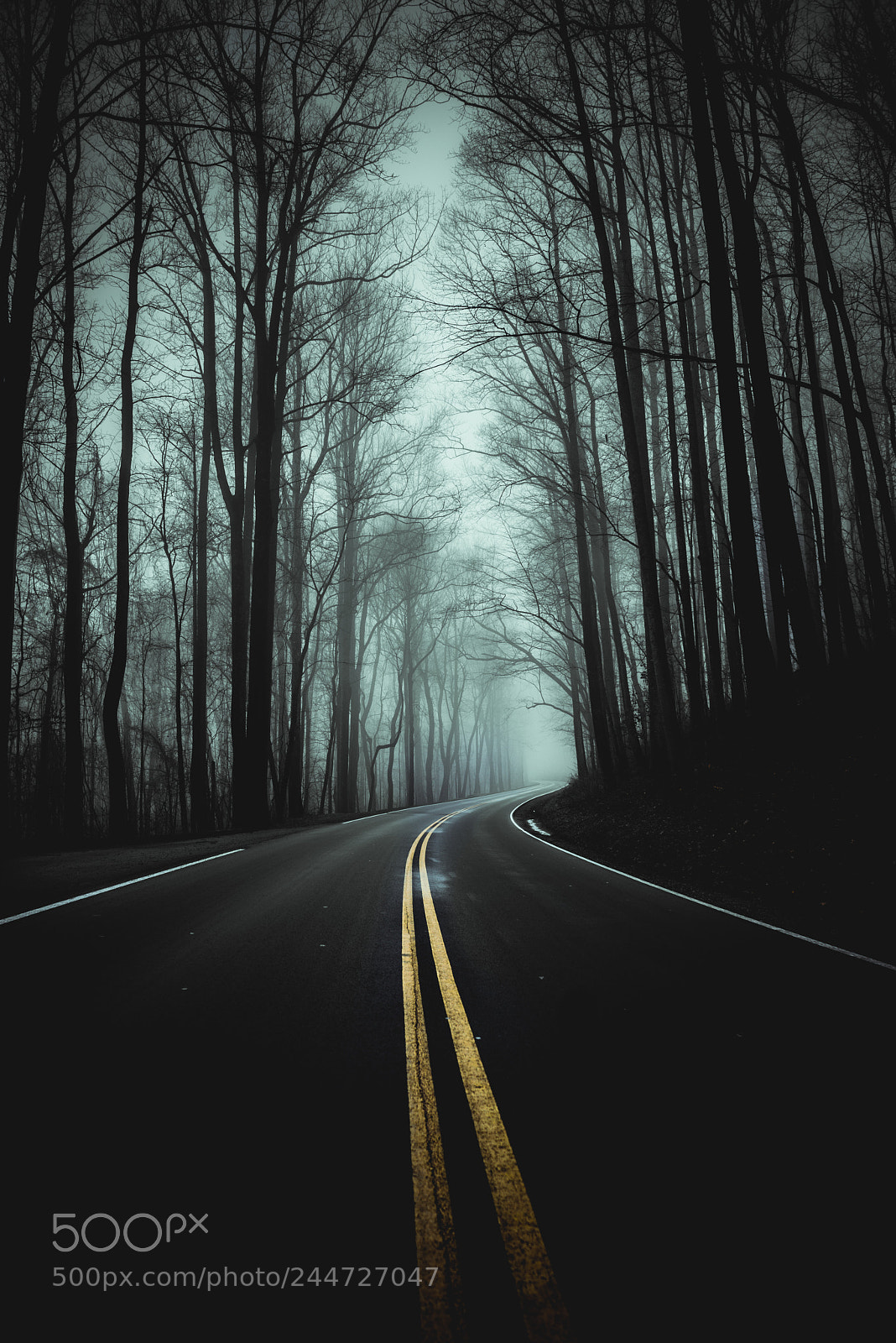 Sony a7R sample photo. The journey photography
