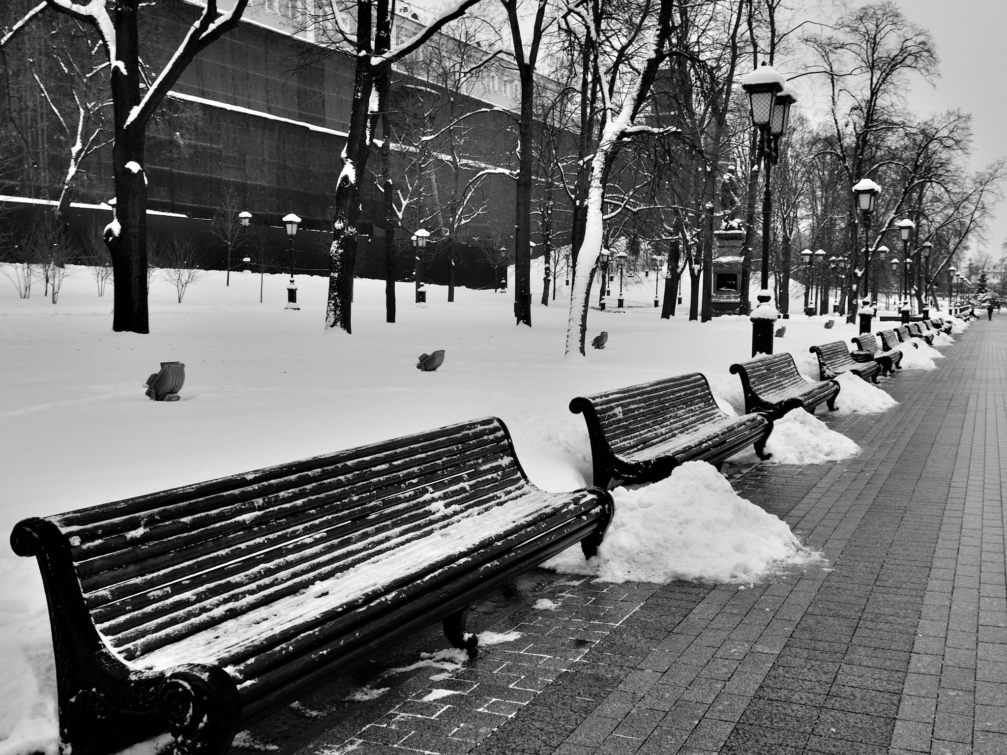 Nikon D5000 sample photo. The benches photography