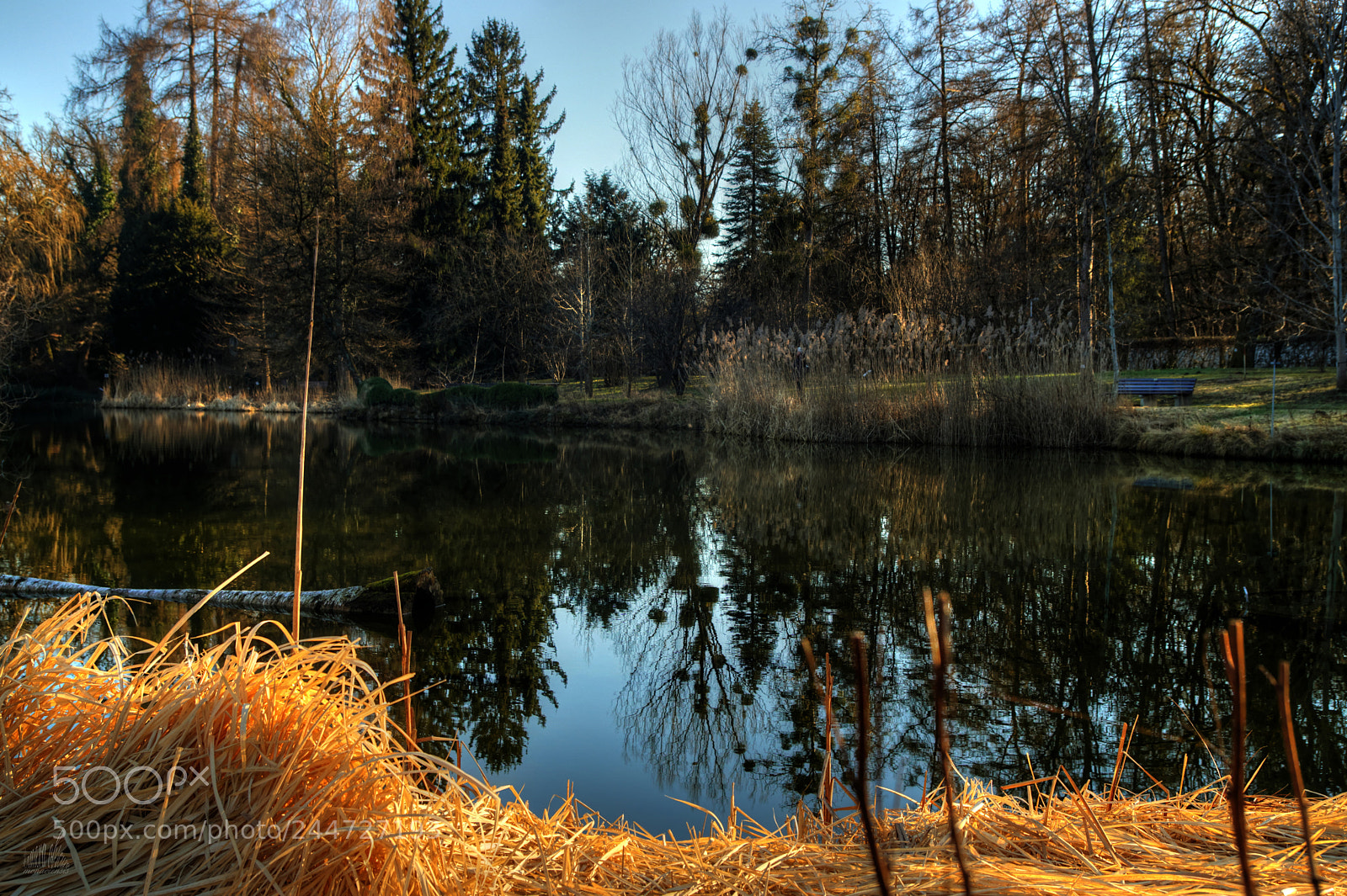 Sony ILCA-77M2 sample photo. Reflecting photography