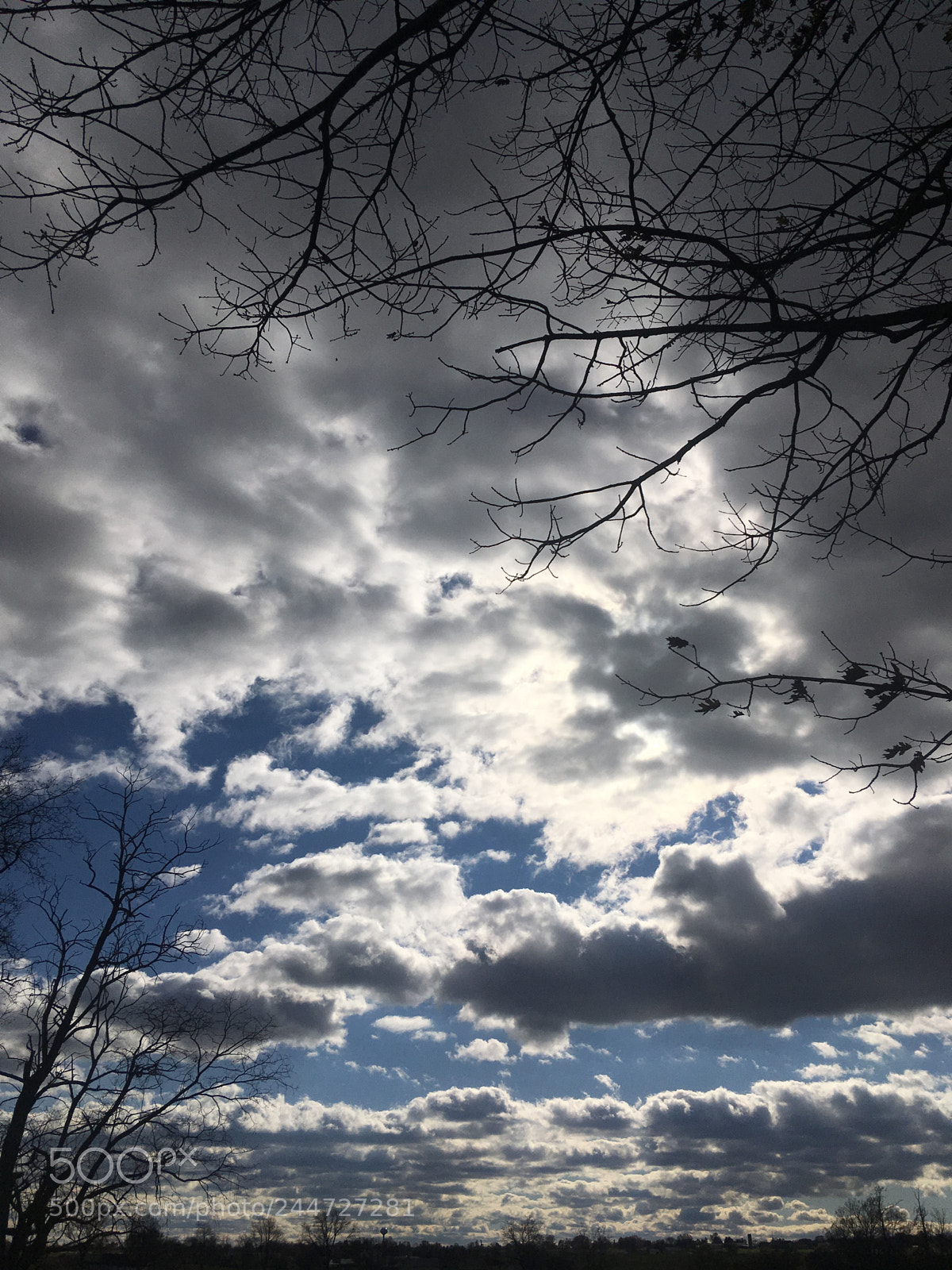 Apple iPhone SE sample photo. Untitled photography