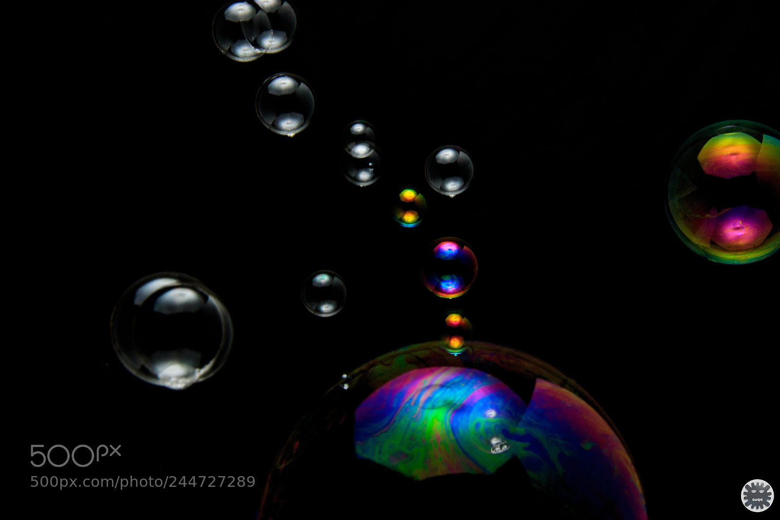 Canon EOS 7D Mark II sample photo. Untitled photography