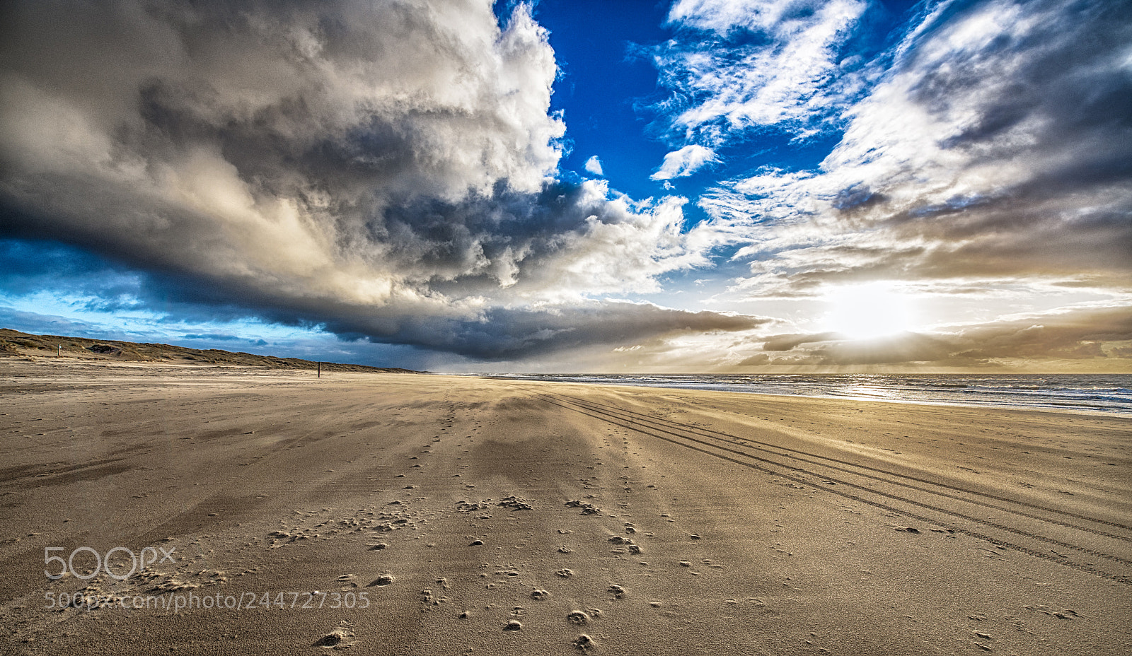 Nikon D850 sample photo. Rainy dutch beach photography
