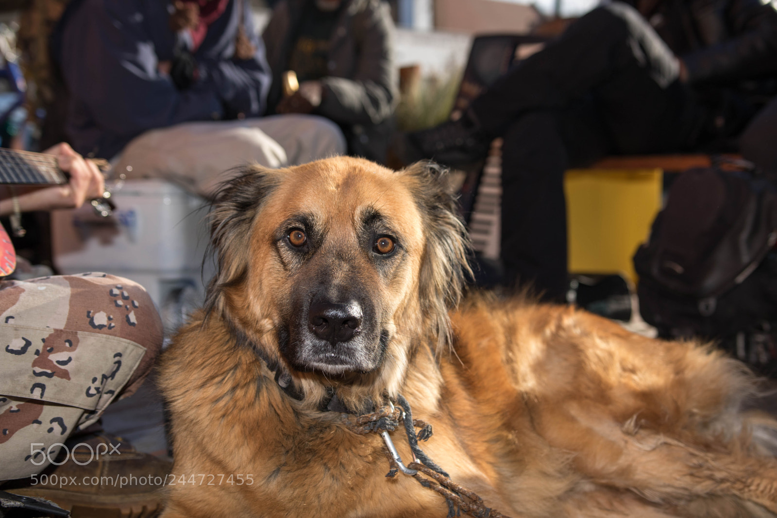 Canon EOS 7D Mark II sample photo. 2735.jpg photography