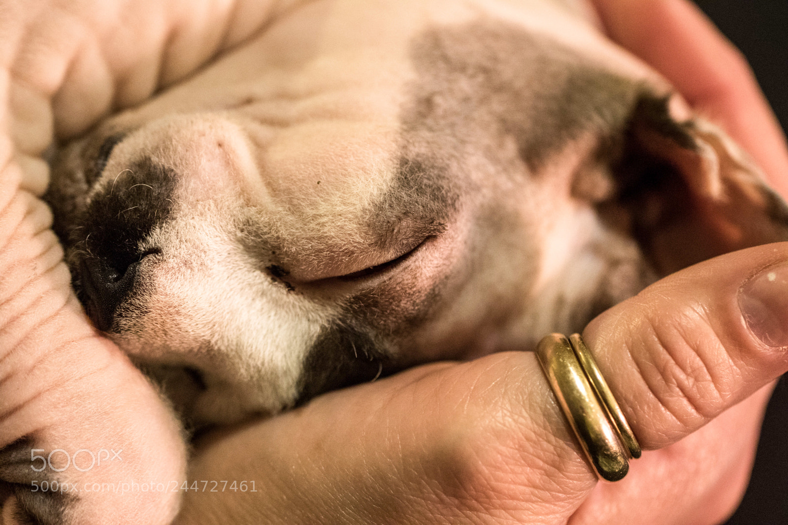 Canon EOS 7D Mark II sample photo. Kk0a0559-2.jpg photography