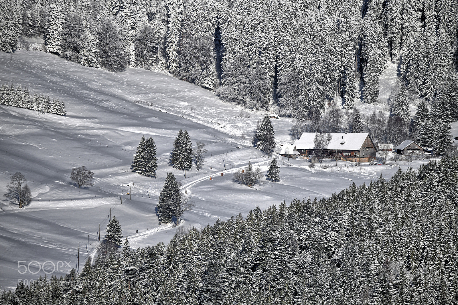 Nikon D850 sample photo. Windberghof im winter photography