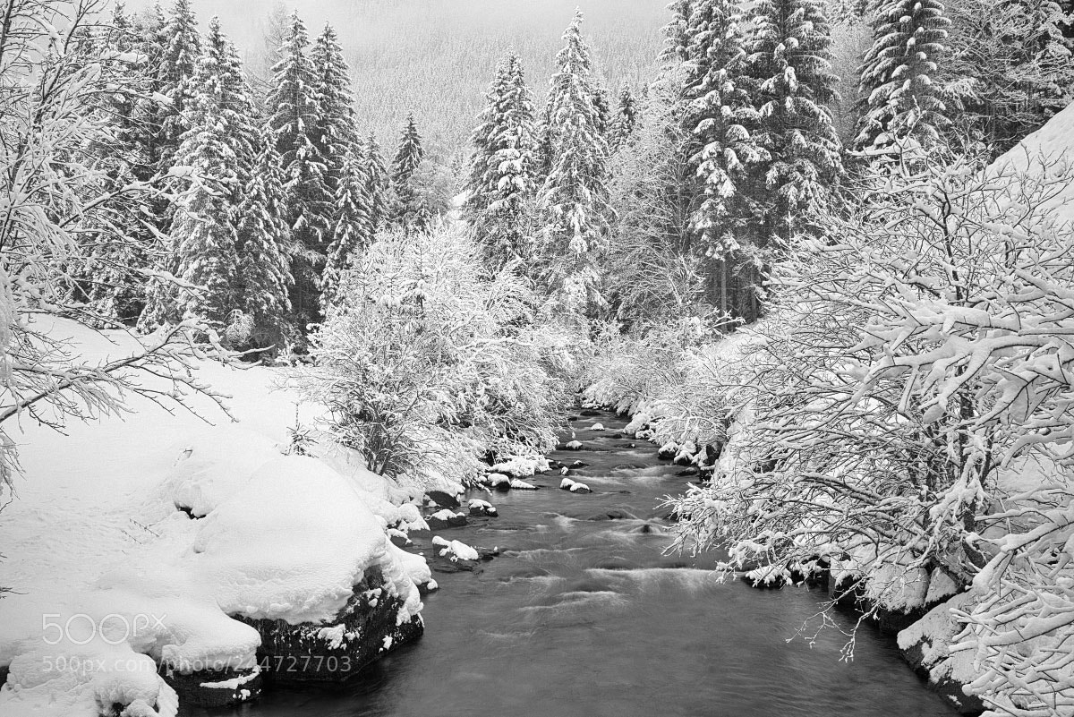 Nikon D850 sample photo. Winter fairy tale photography