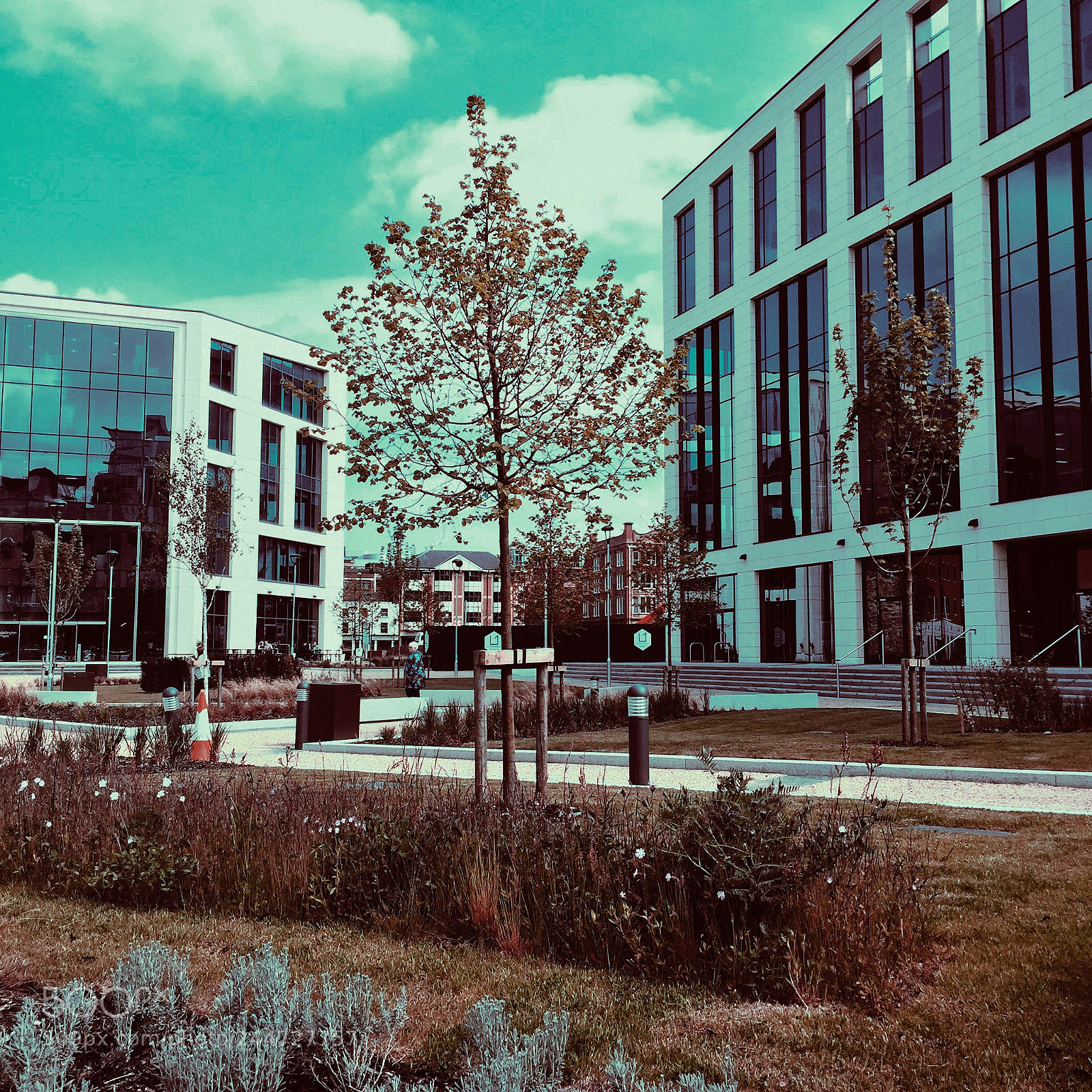 Apple iPhone 6 Plus sample photo. Wellington place leeds. photography