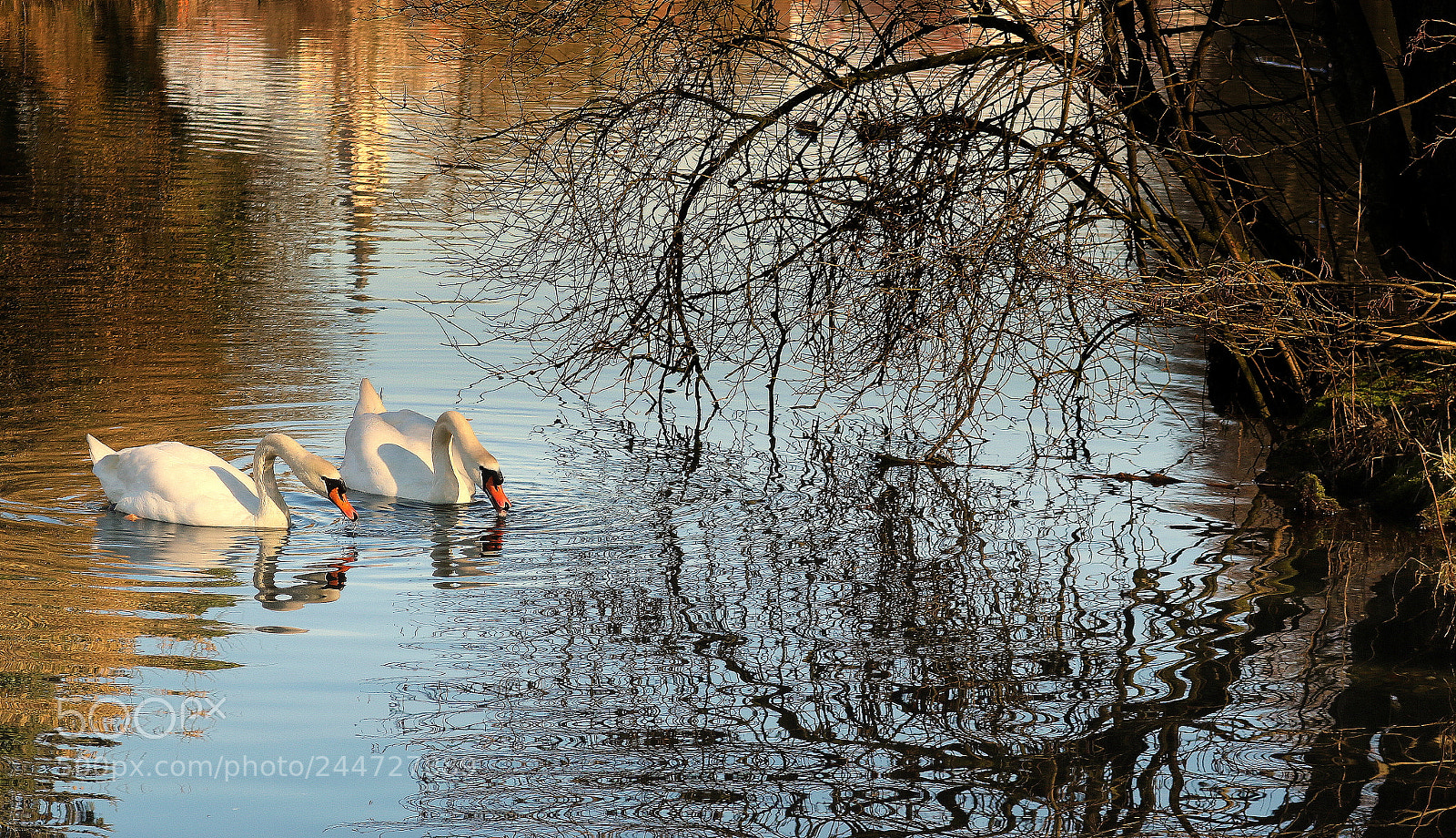 Canon EOS 750D (EOS Rebel T6i / EOS Kiss X8i) sample photo. Im kreis lauf der photography