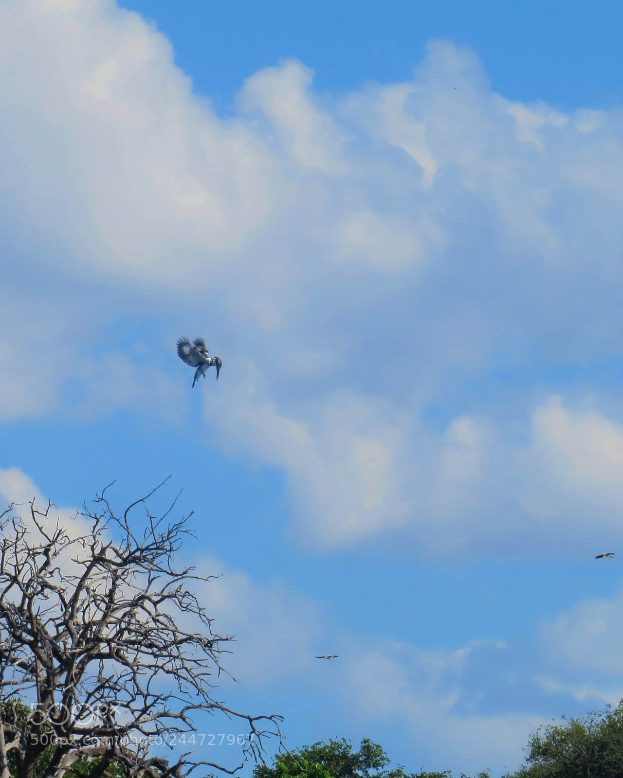 Canon PowerShot SX50 HS sample photo. Haunting! photography