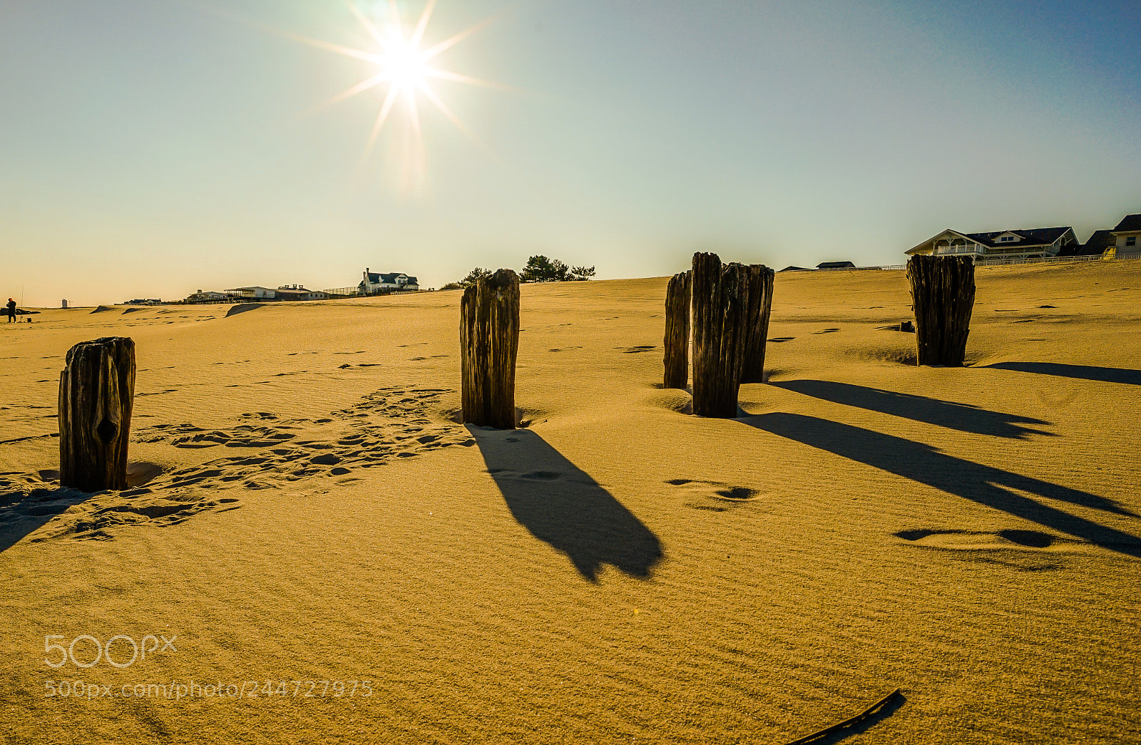 Sony a7 II sample photo. Deal, nj, usa photography