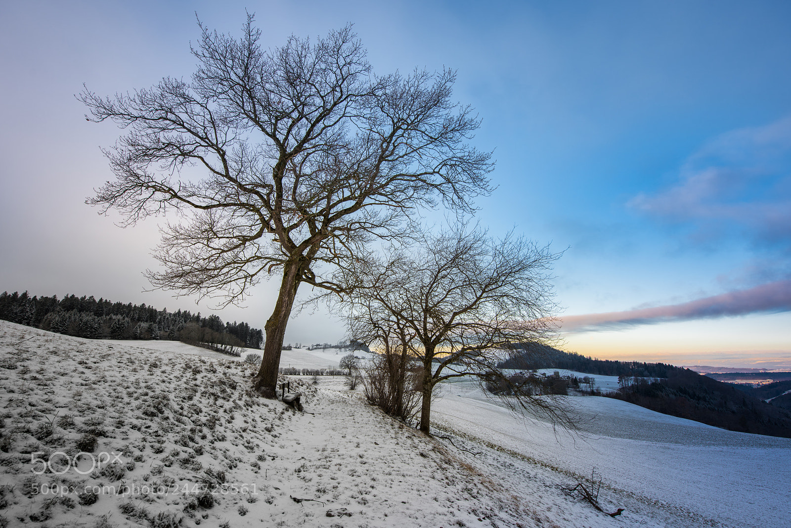 Nikon D810 sample photo. Winter morning photography