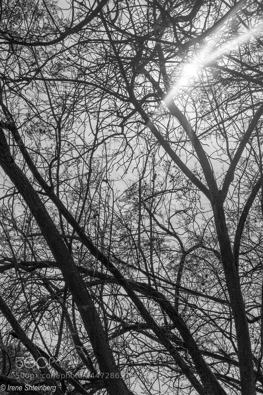 Nikon D3400 sample photo. Shadows photography
