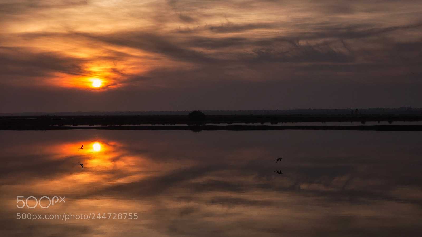 Olympus OM-D E-M10 II sample photo. Reflection at sunset photography