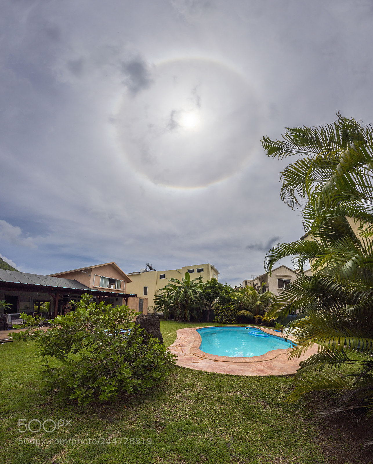 Nikon D810 sample photo. 22 halo over tamarin photography