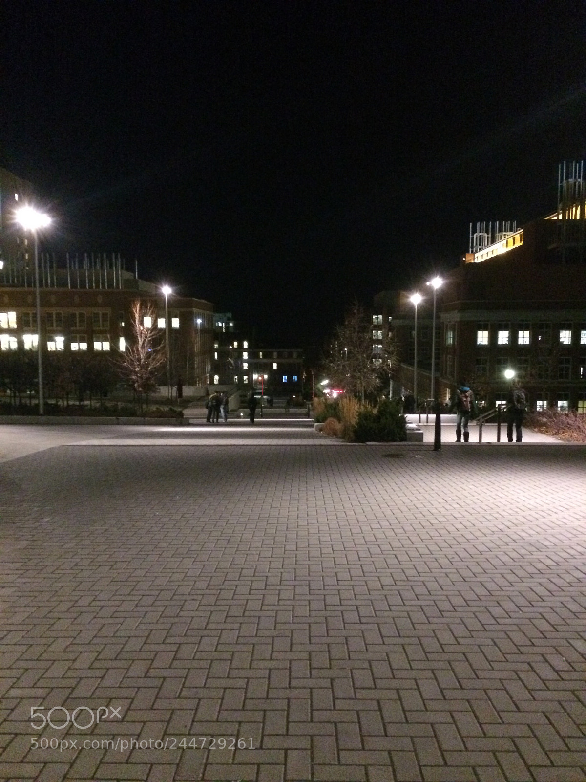Apple iPhone 5s sample photo. Wsu cougar nation post photography