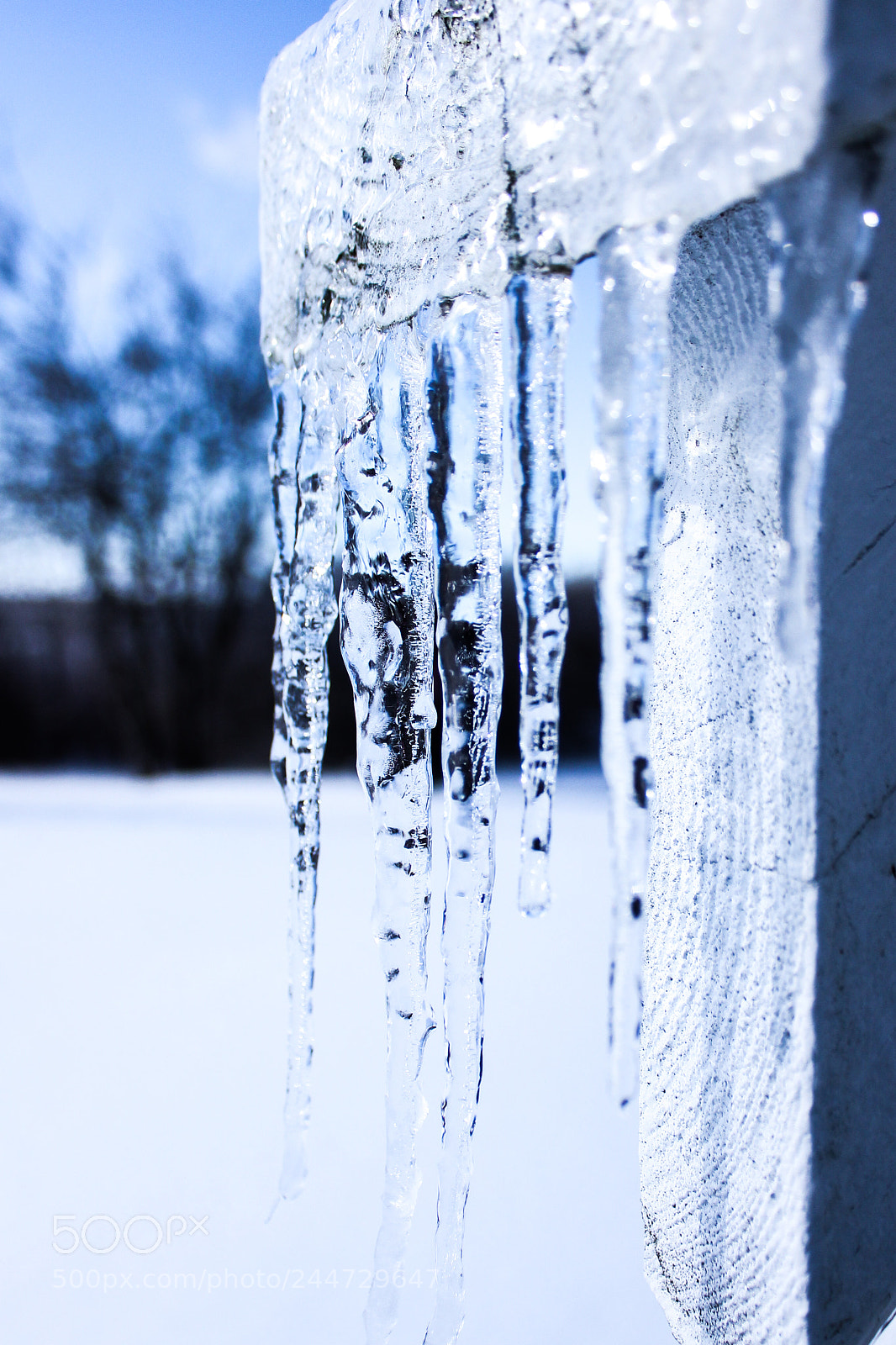 Canon EOS 550D (EOS Rebel T2i / EOS Kiss X4) sample photo. Winter icicles photography