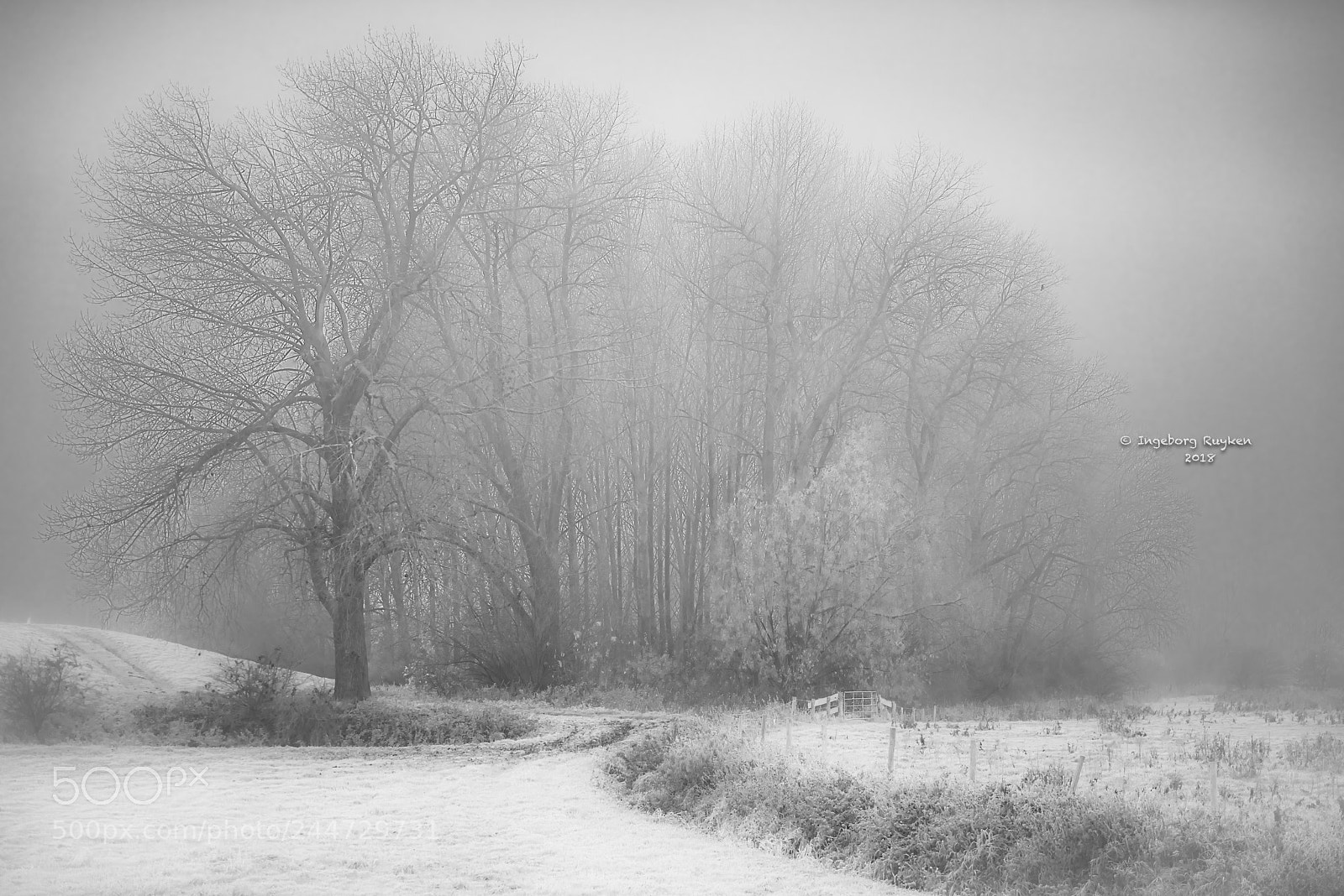 Nikon D800 sample photo. Empelse dijk 2799 photography