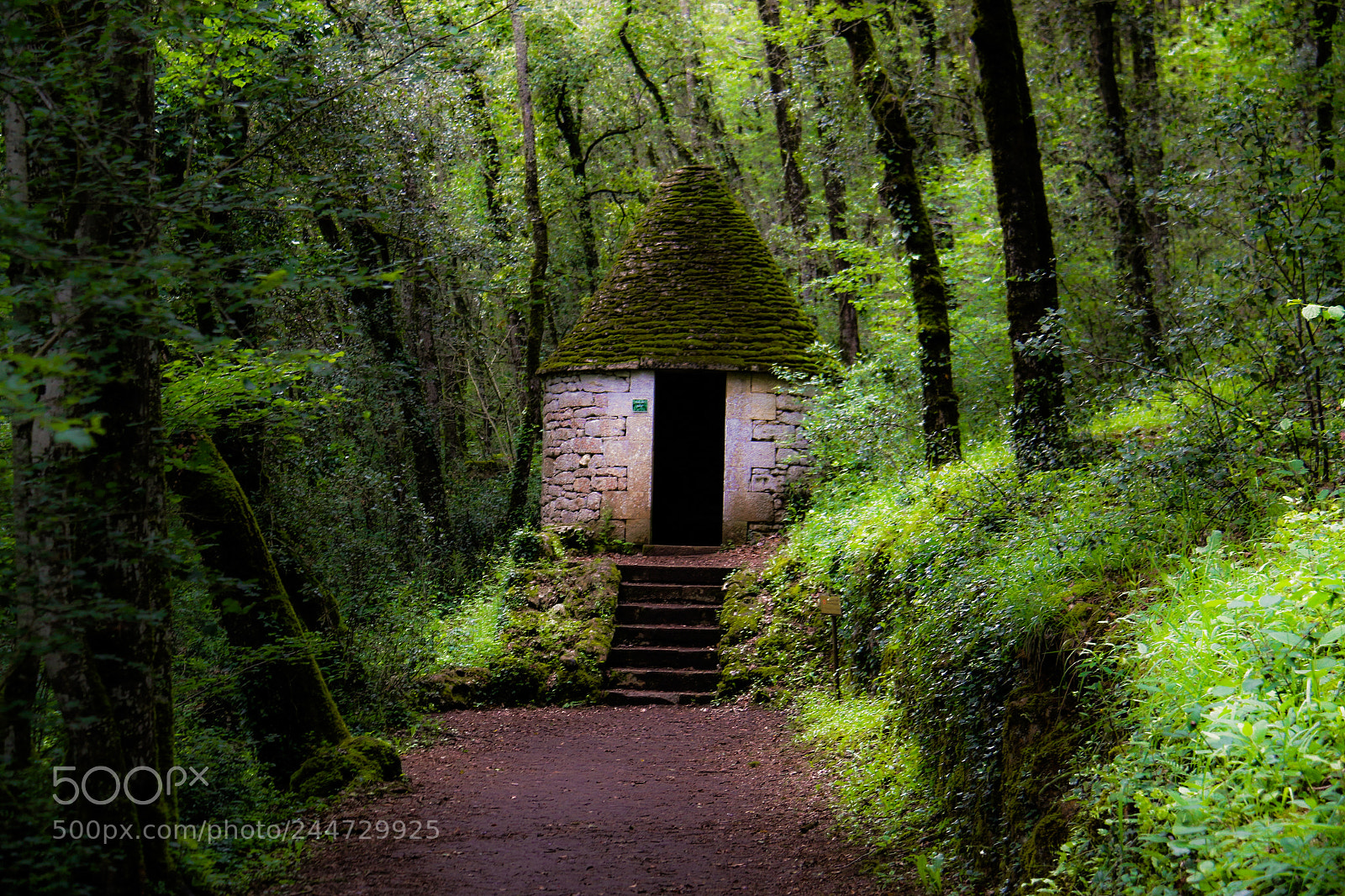 Canon EOS 70D sample photo. Marqueyssac gardens near domme photography