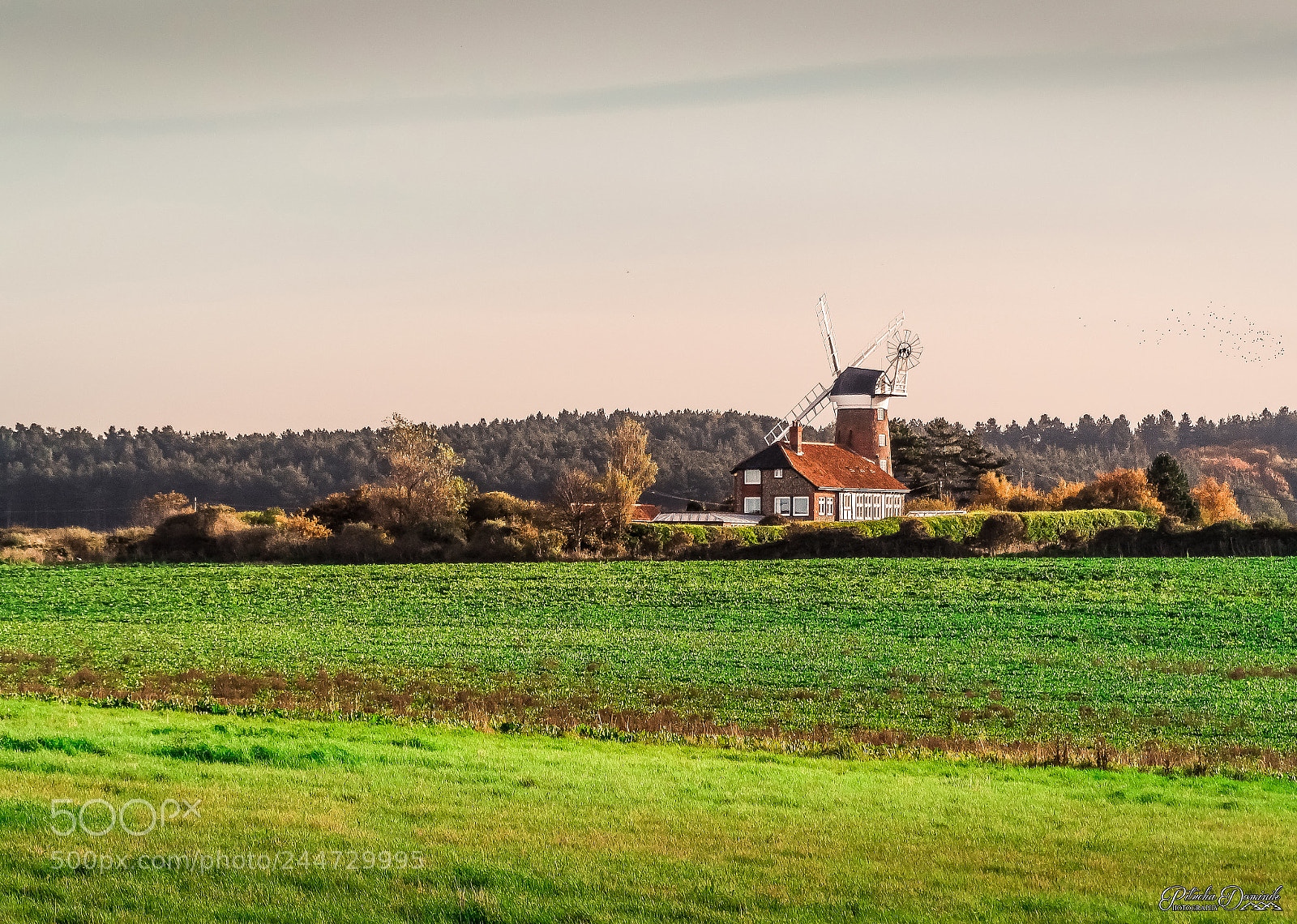 Sony Cyber-shot DSC-HX300 sample photo. Weybourn | norfolk | united kingdom photography