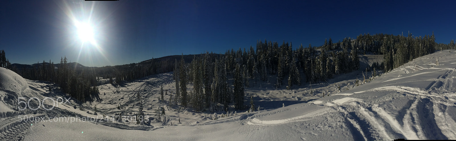 Apple iPhone 5s sample photo. Blue skies with fresh photography