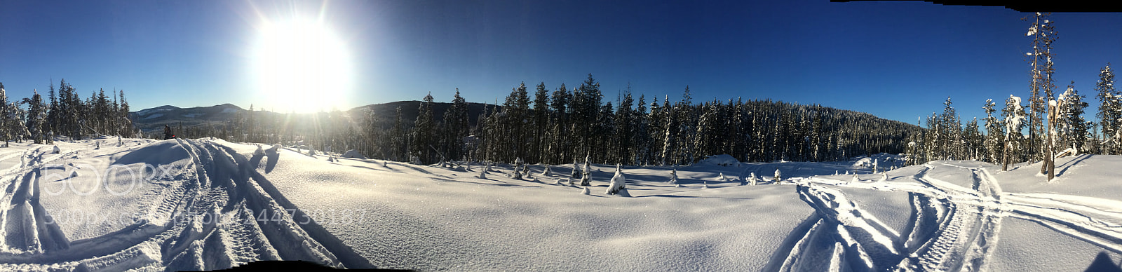 Apple iPhone 5s sample photo. Blue skies with fresh photography