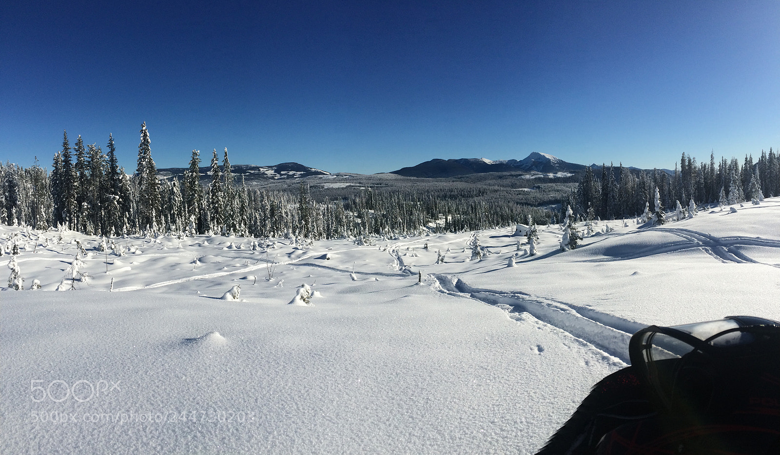 Apple iPhone 5s sample photo. Blue skies with fresh photography