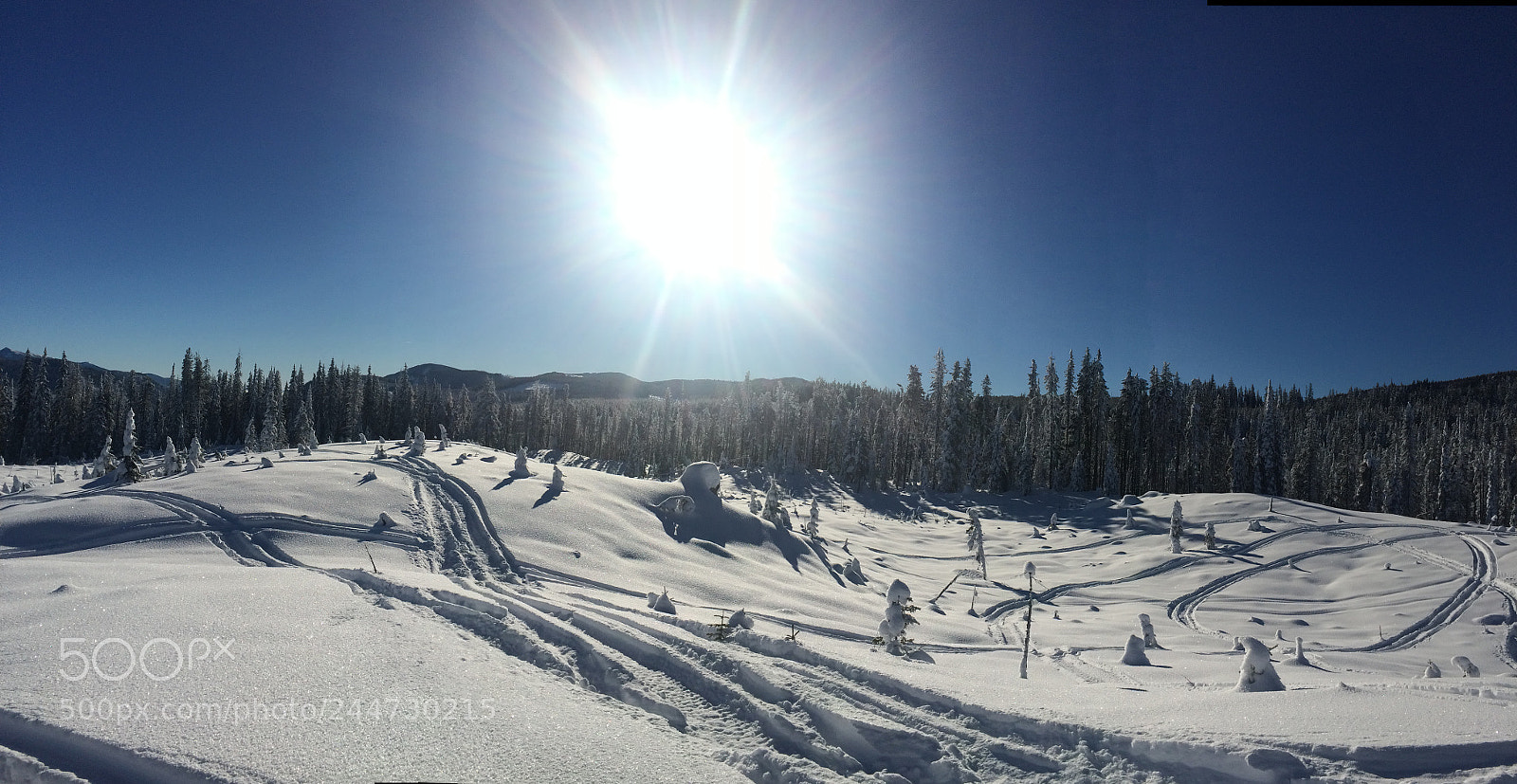 Apple iPhone 5s sample photo. Blue skies with fresh photography