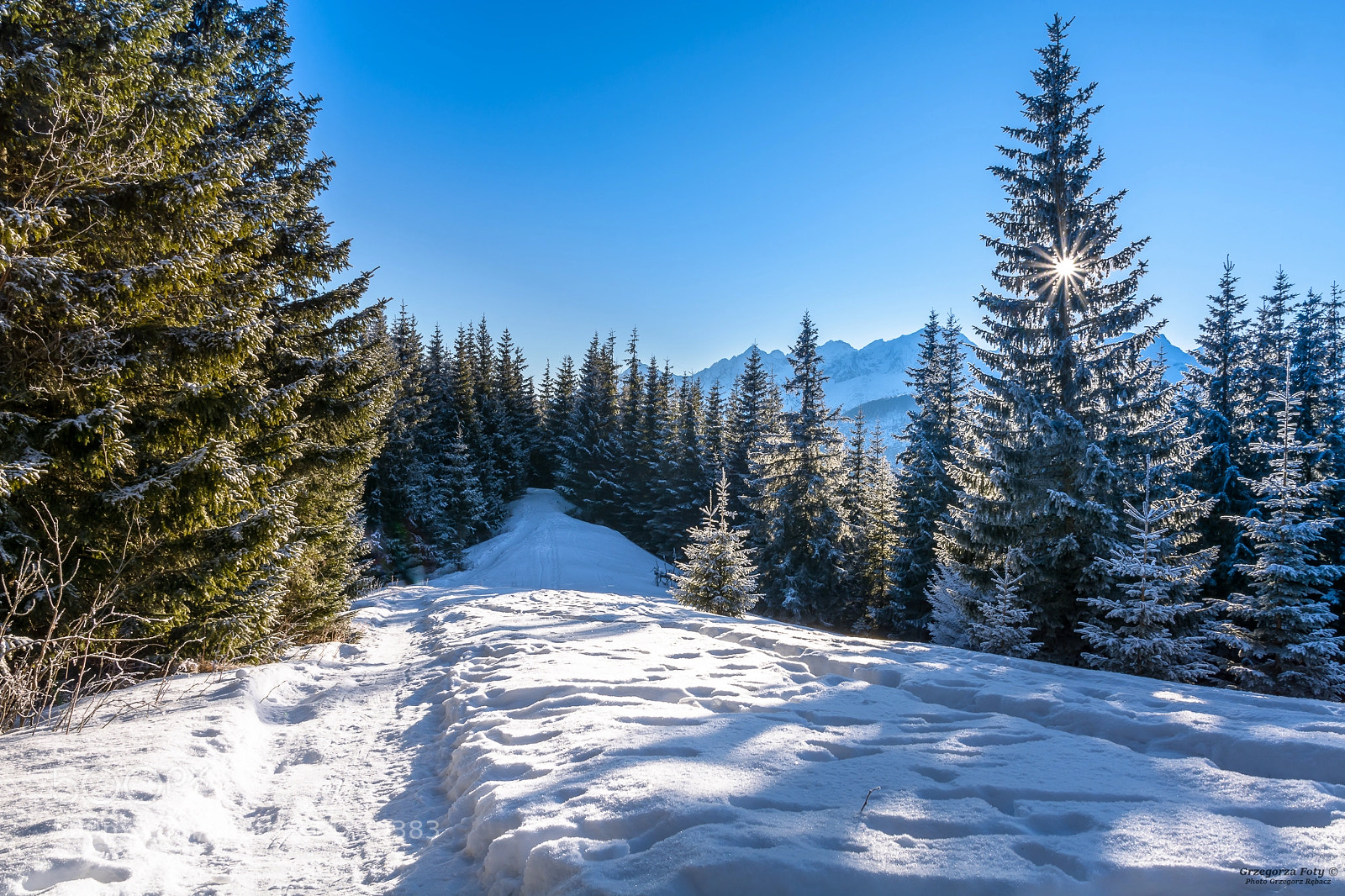 Nikon D7100 sample photo. Winter on the tatra photography