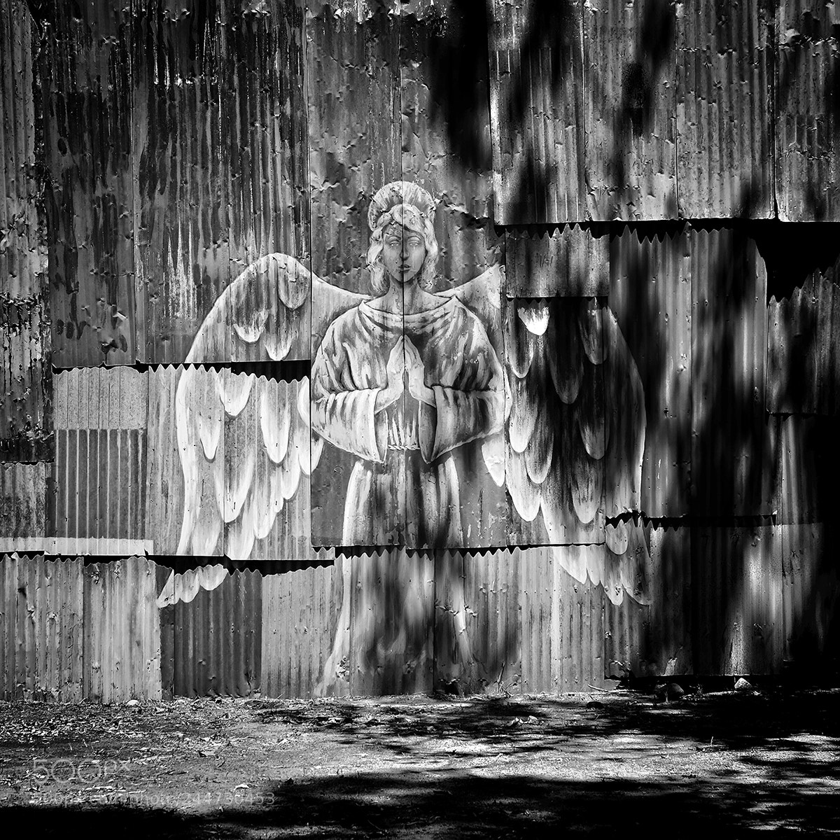 Fujifilm X-T1 sample photo. Guardian web photography