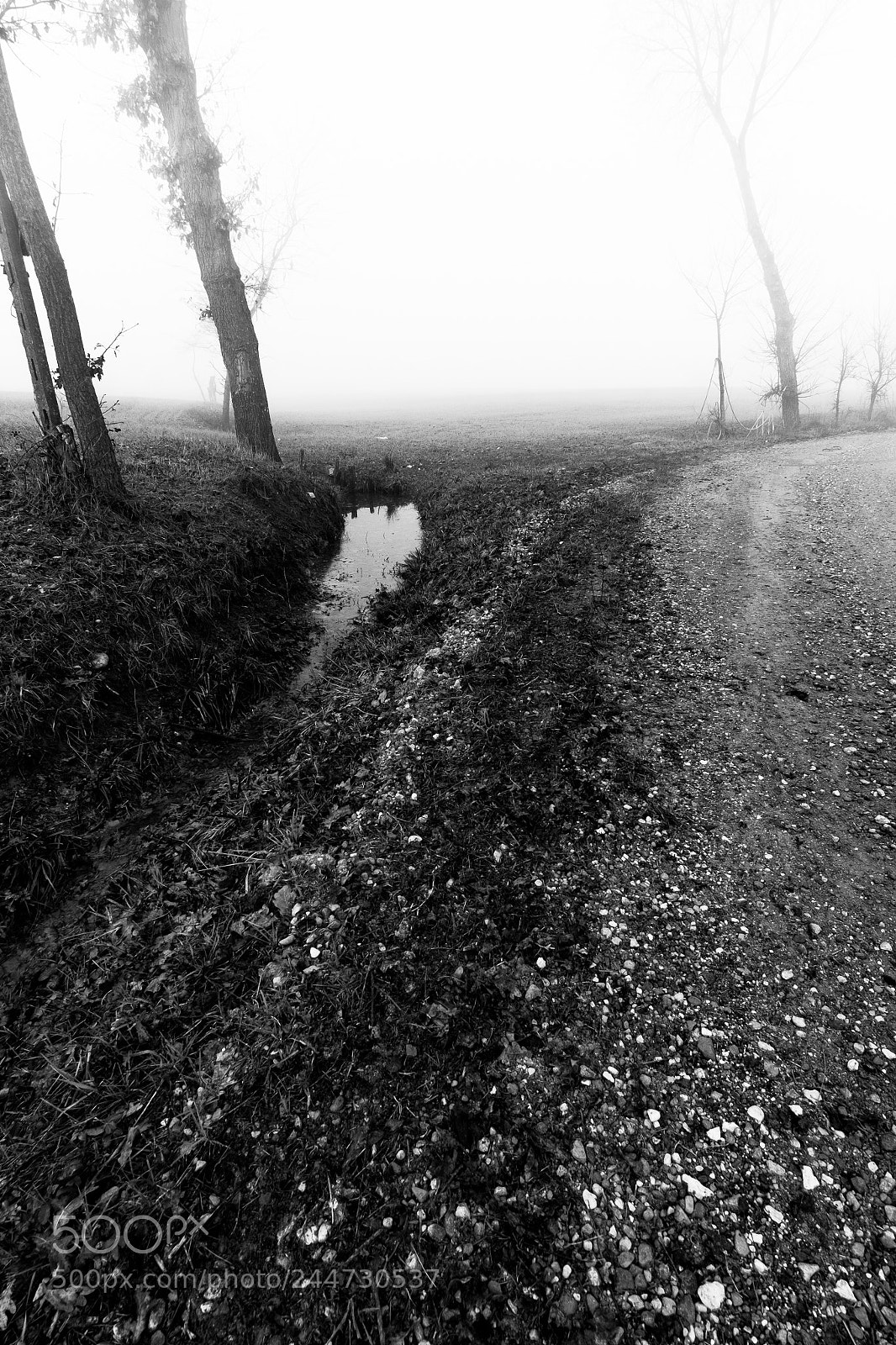 Fujifilm X-T10 sample photo. Landscape bw photography