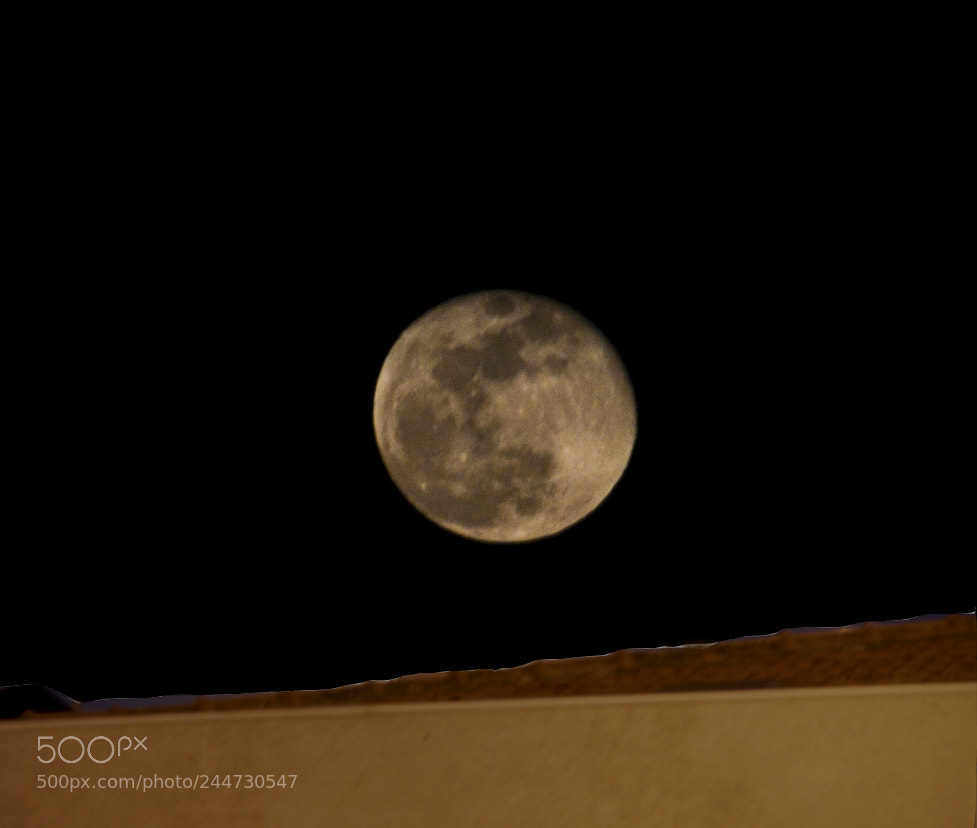 Canon EOS 50D sample photo. Blue moon 2018 photography