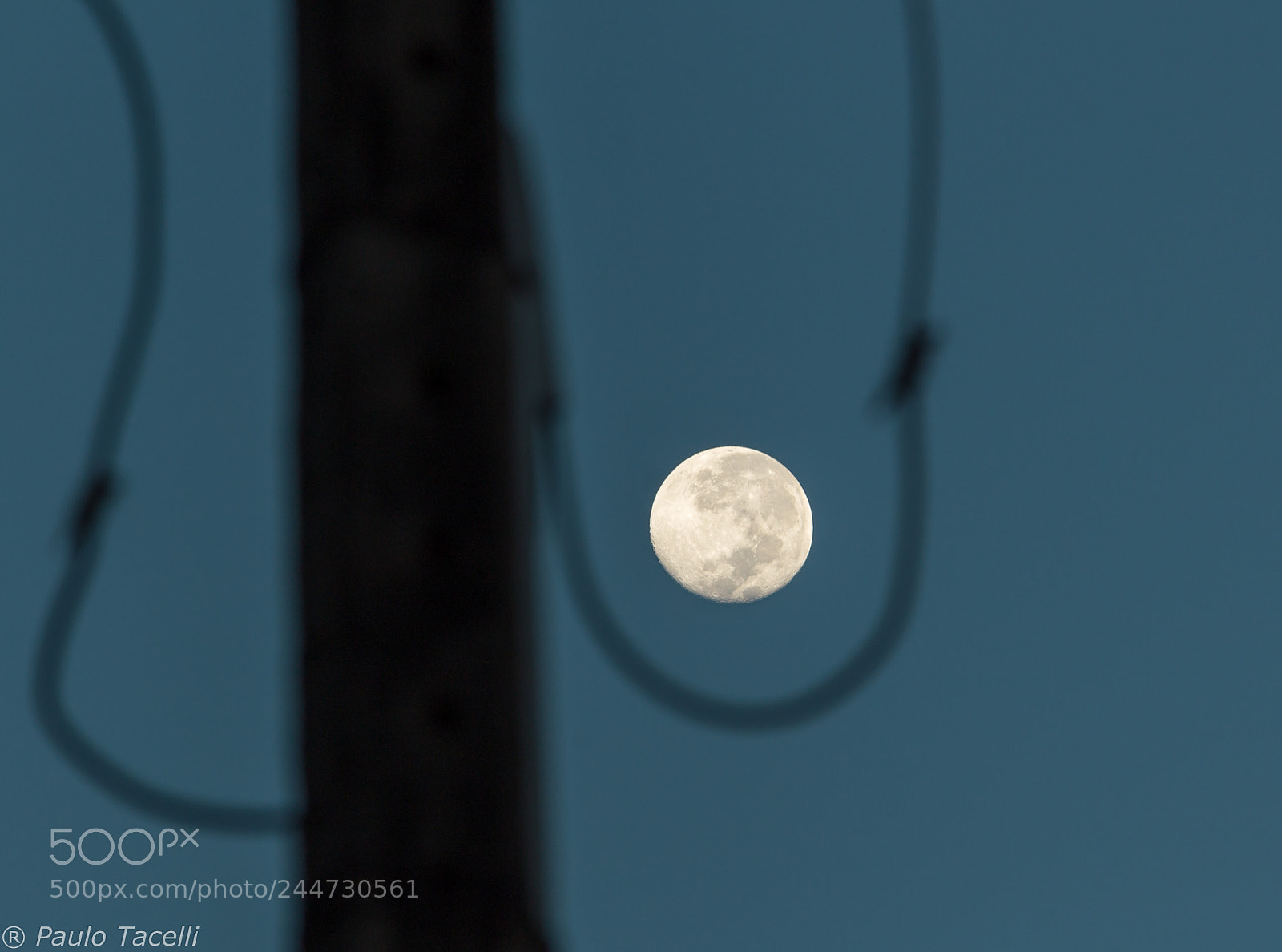 Canon EOS 1200D (EOS Rebel T5 / EOS Kiss X70 / EOS Hi) sample photo. Lua_azul_ photography
