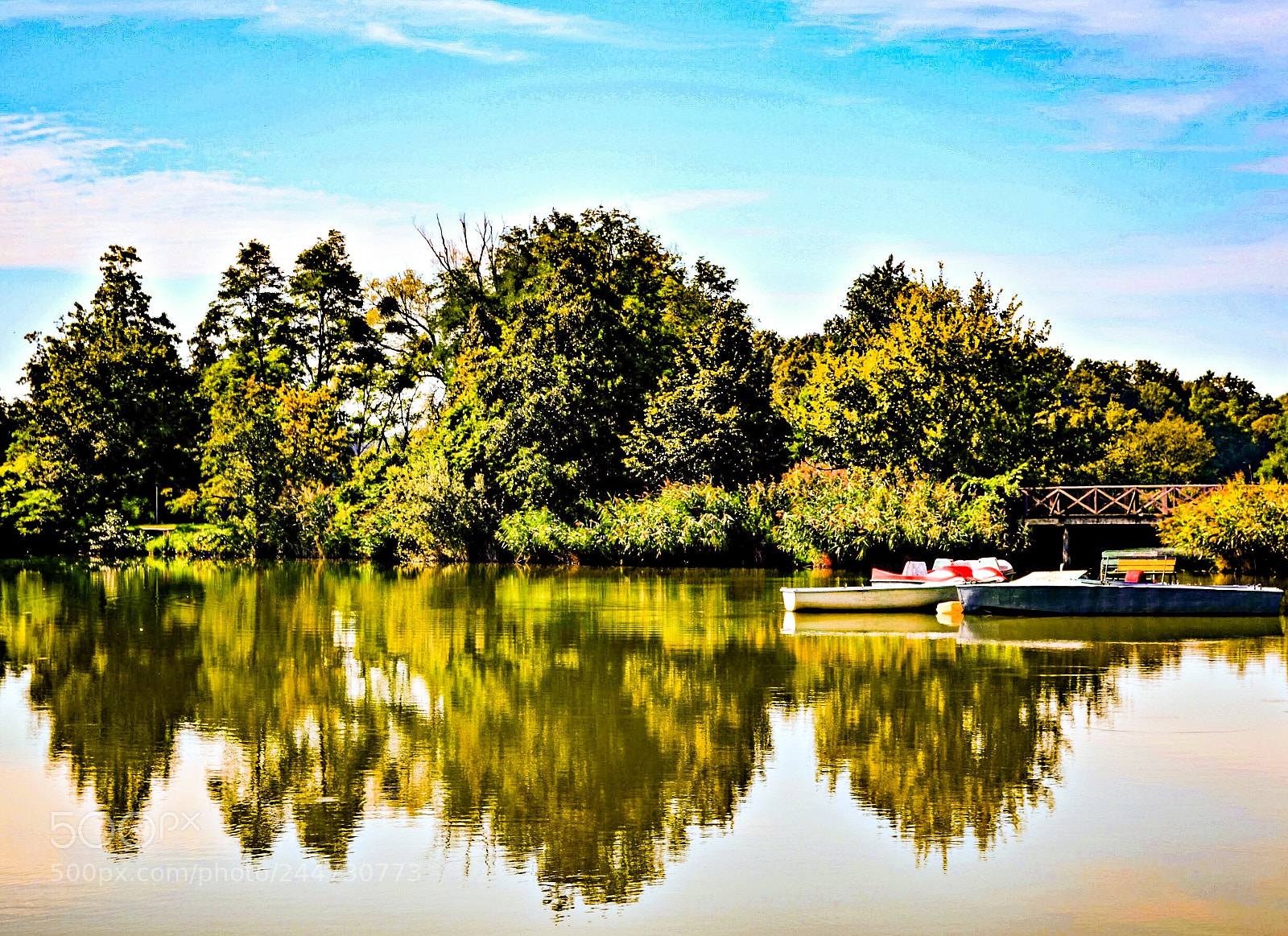 Nikon D5100 sample photo. Reflection photography