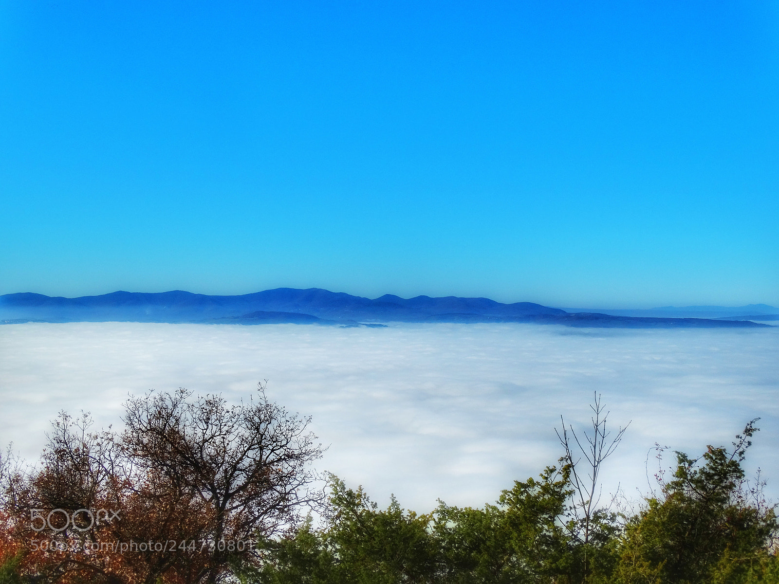 Sony Cyber-shot DSC-HX300 sample photo. Fog photography
