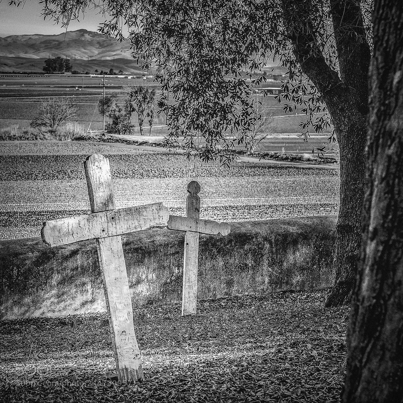 Nikon D800 sample photo. Cemetery, mission san juan photography