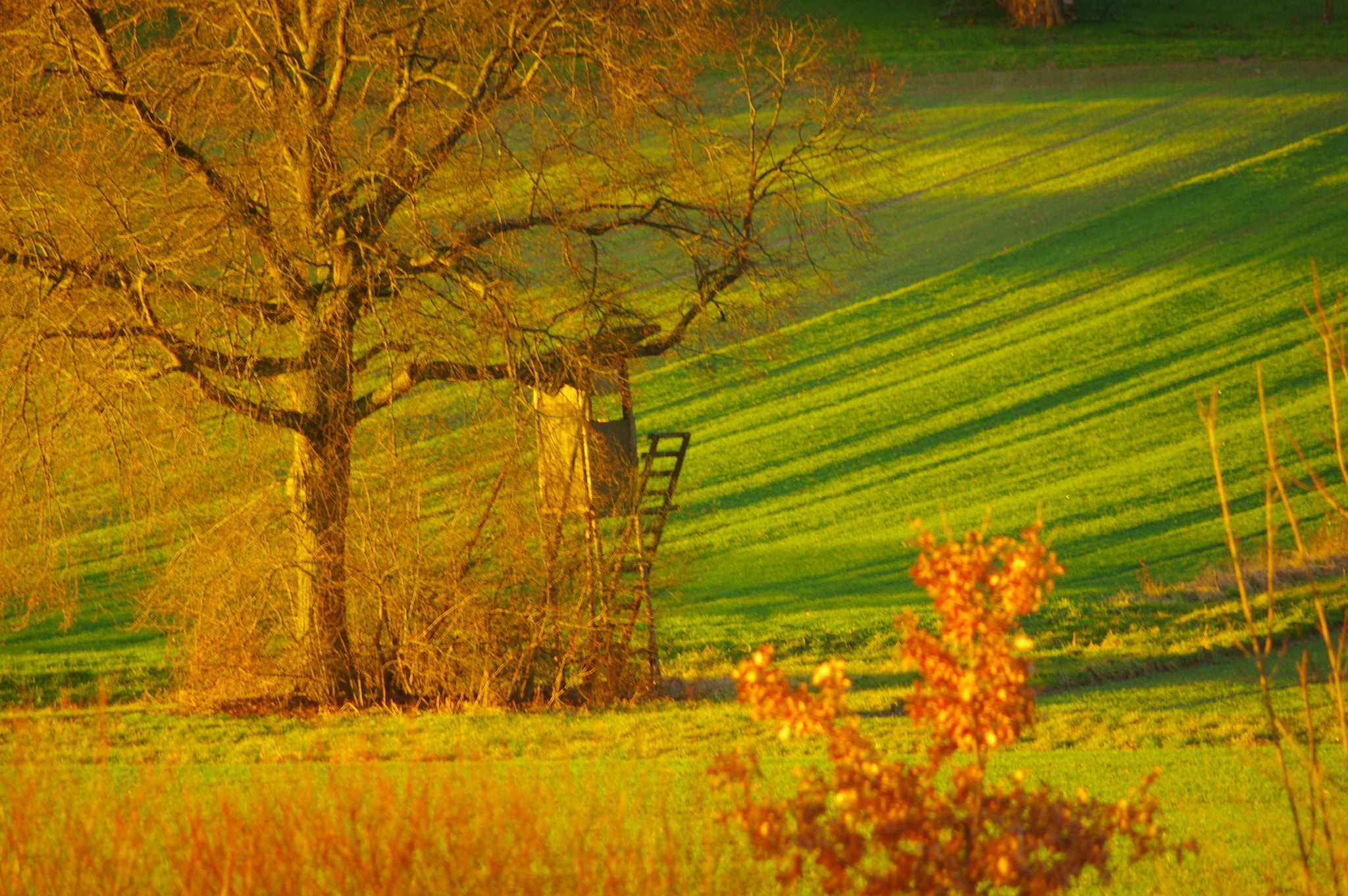 Pentax K-5 sample photo. Morning light photography