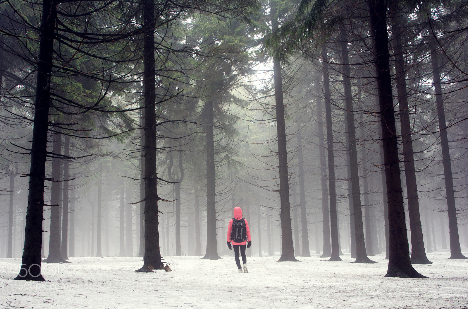 Nikon D7100 sample photo. Woman in a winter photography