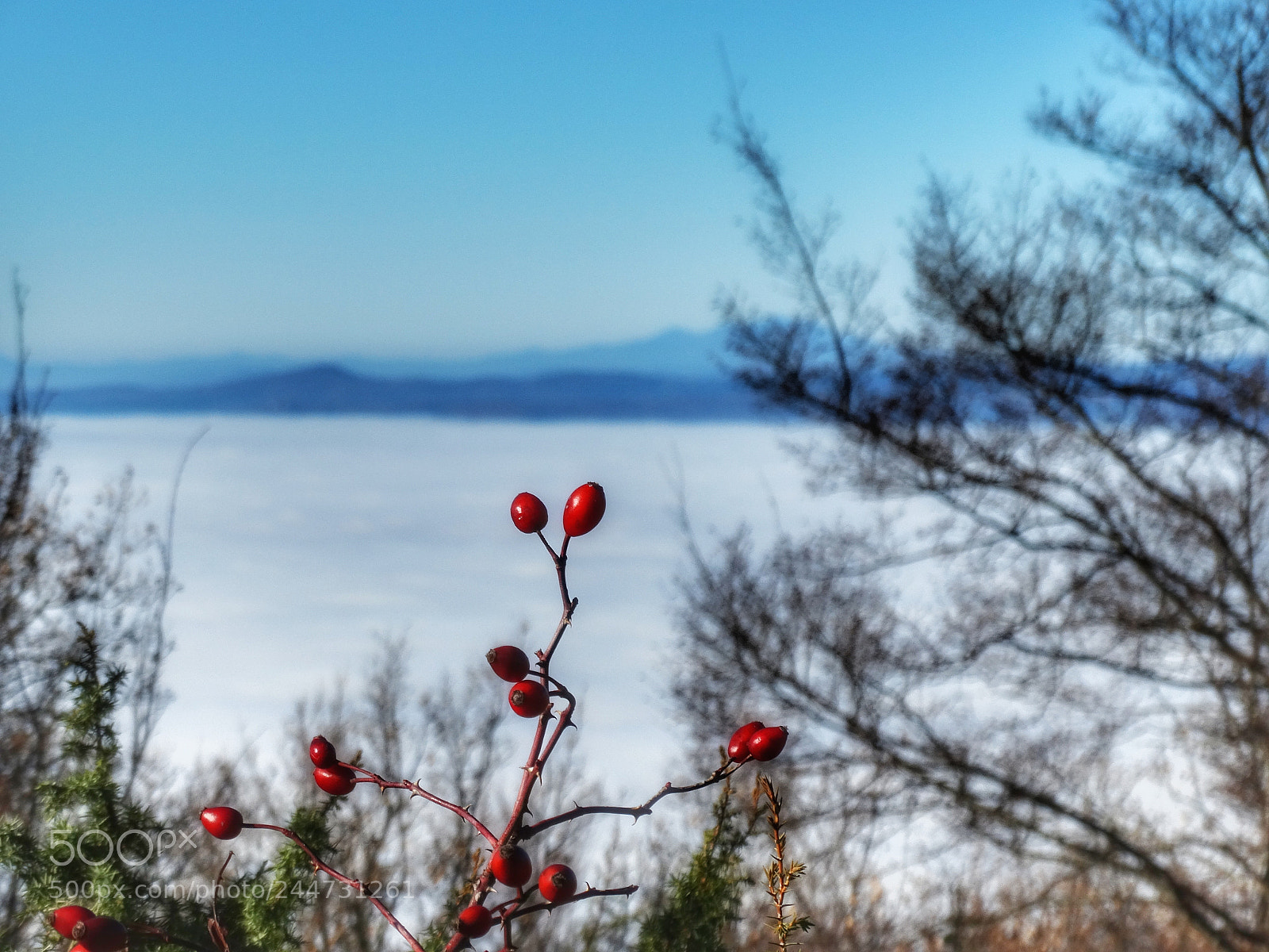 Sony Cyber-shot DSC-HX300 sample photo. Fog photography